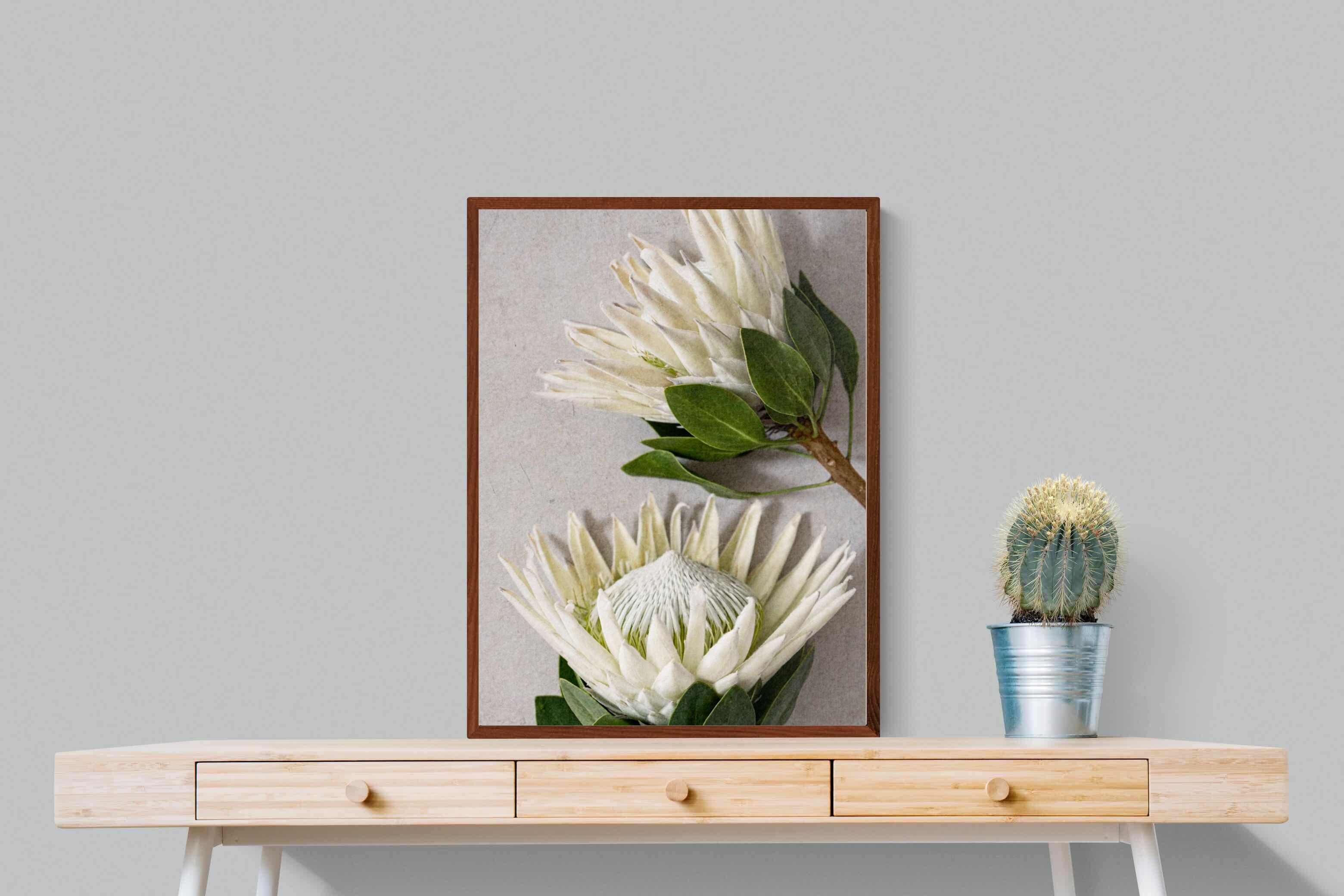 Pixalot White King Protea Pair