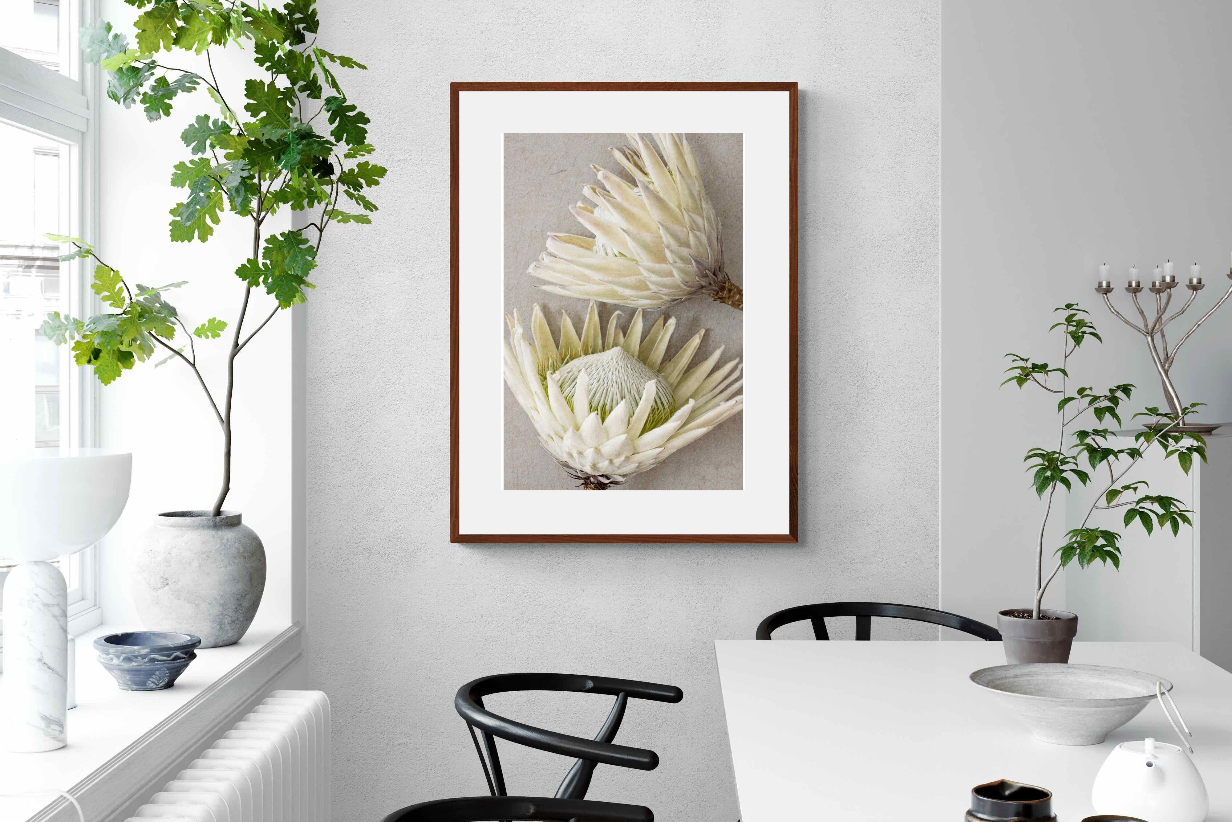 Pixalot White King Protea Pair