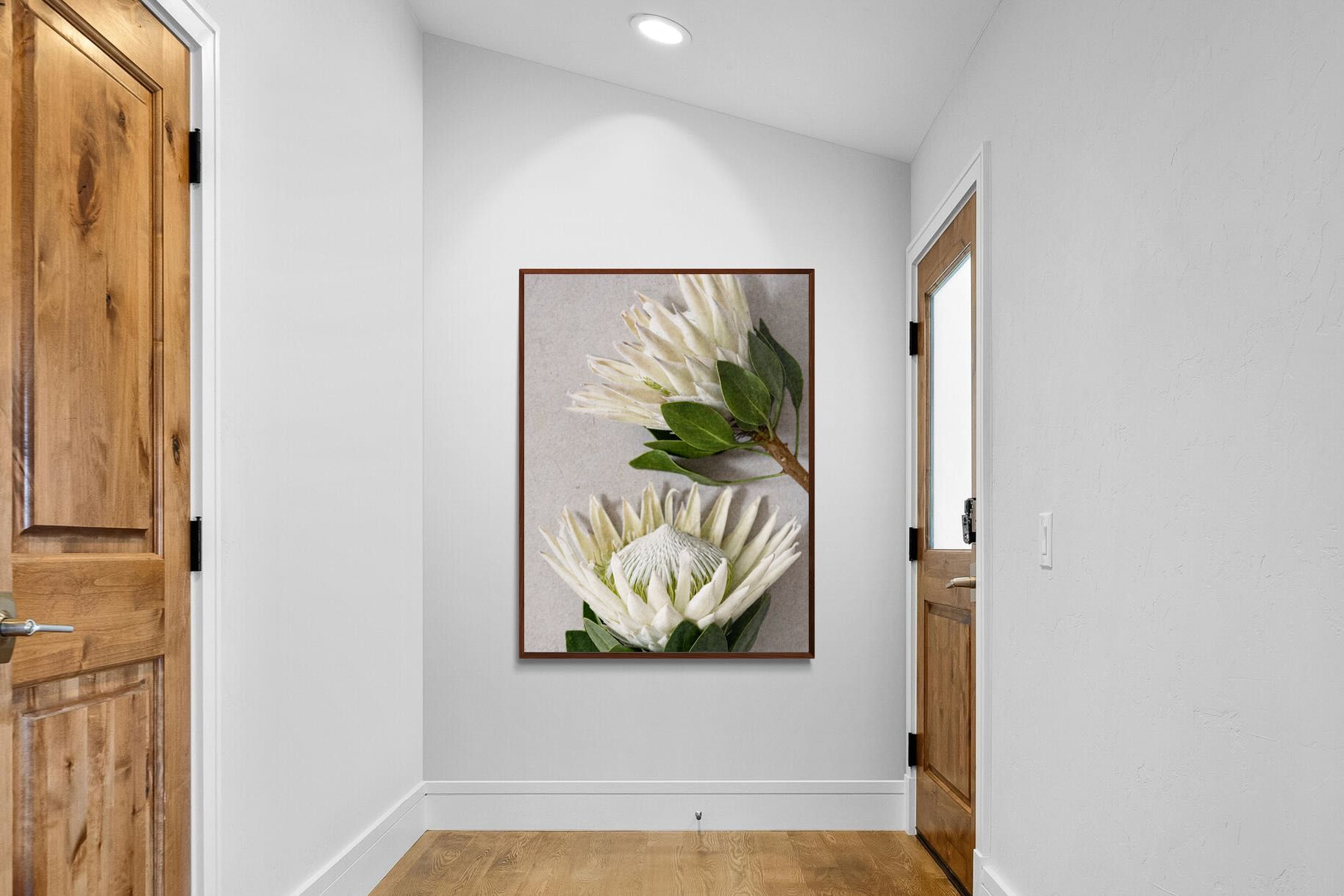 Pixalot White King Protea Pair