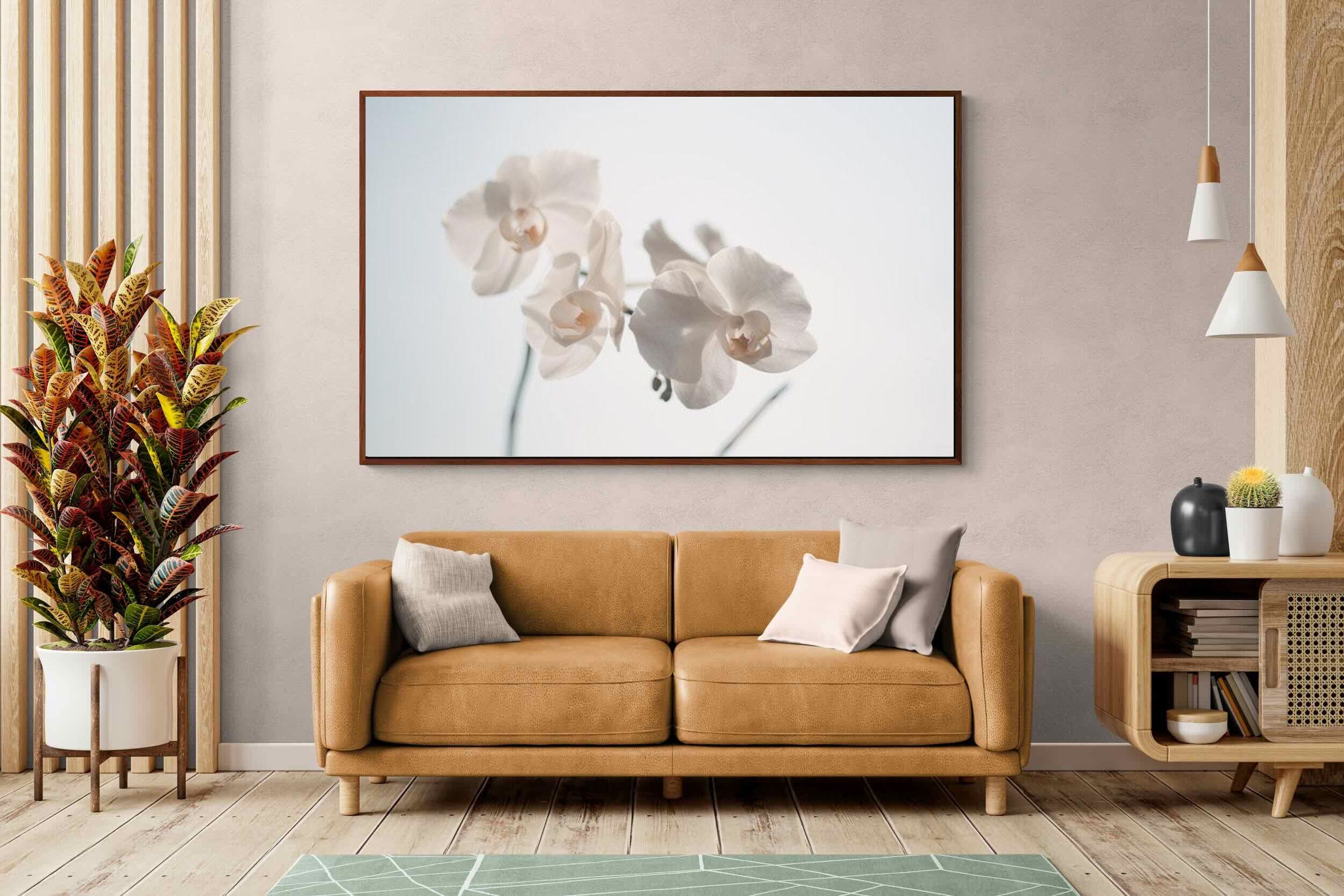 Pixalot ® White Moth Orchid