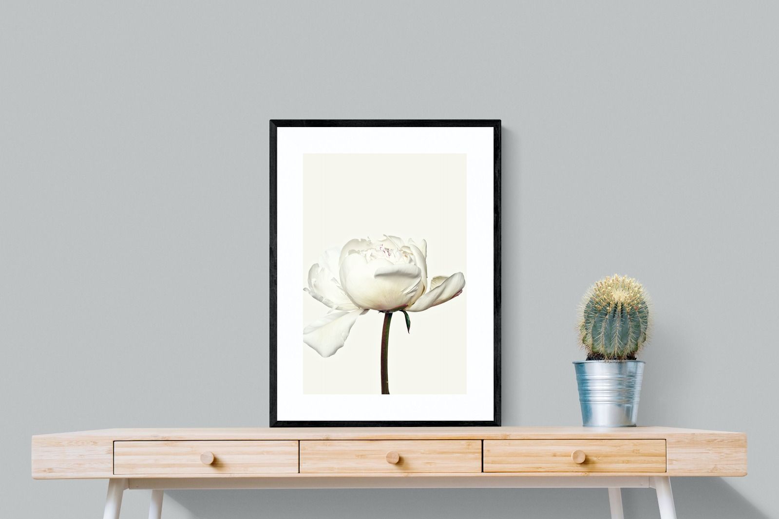 Pixalot White Peony