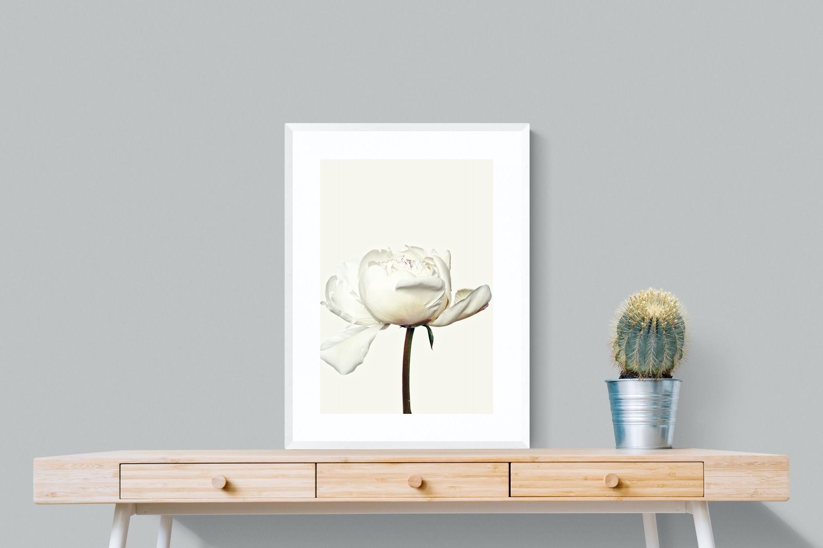 Pixalot White Peony