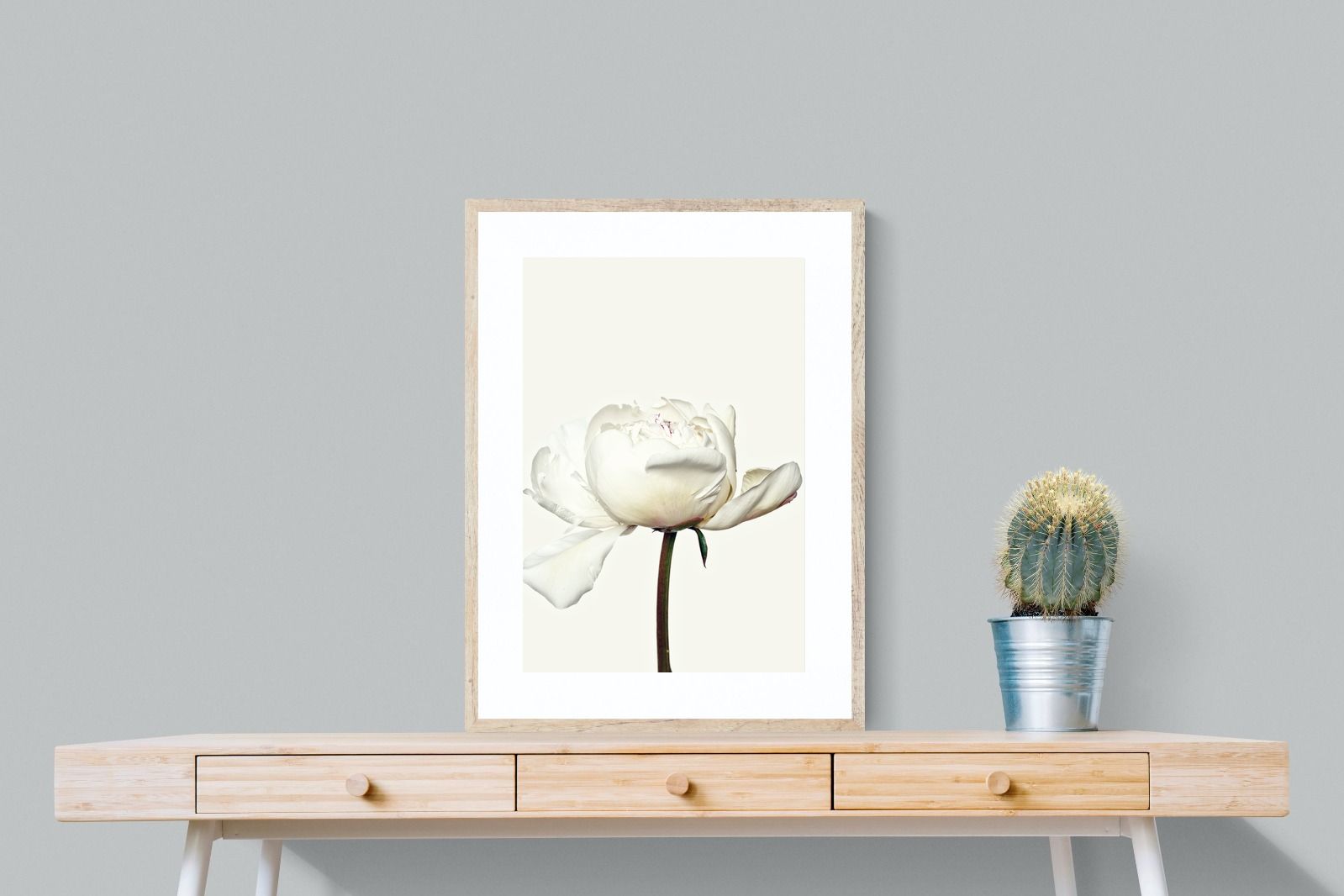 Pixalot White Peony