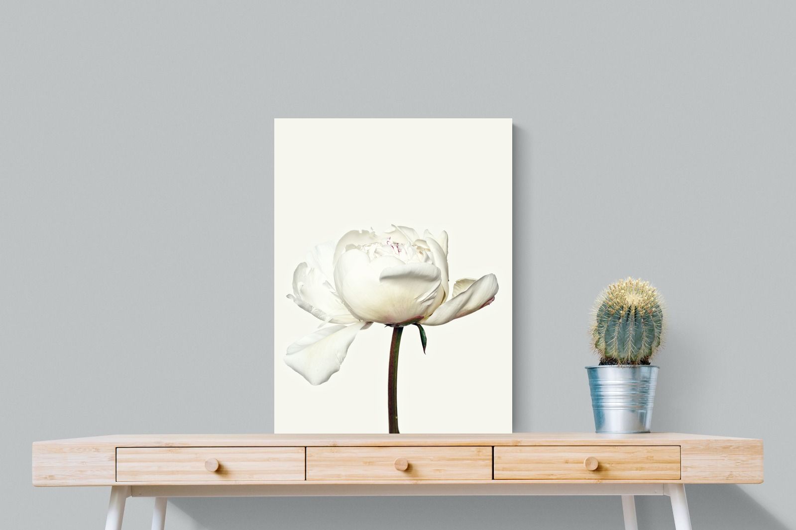 Pixalot White Peony