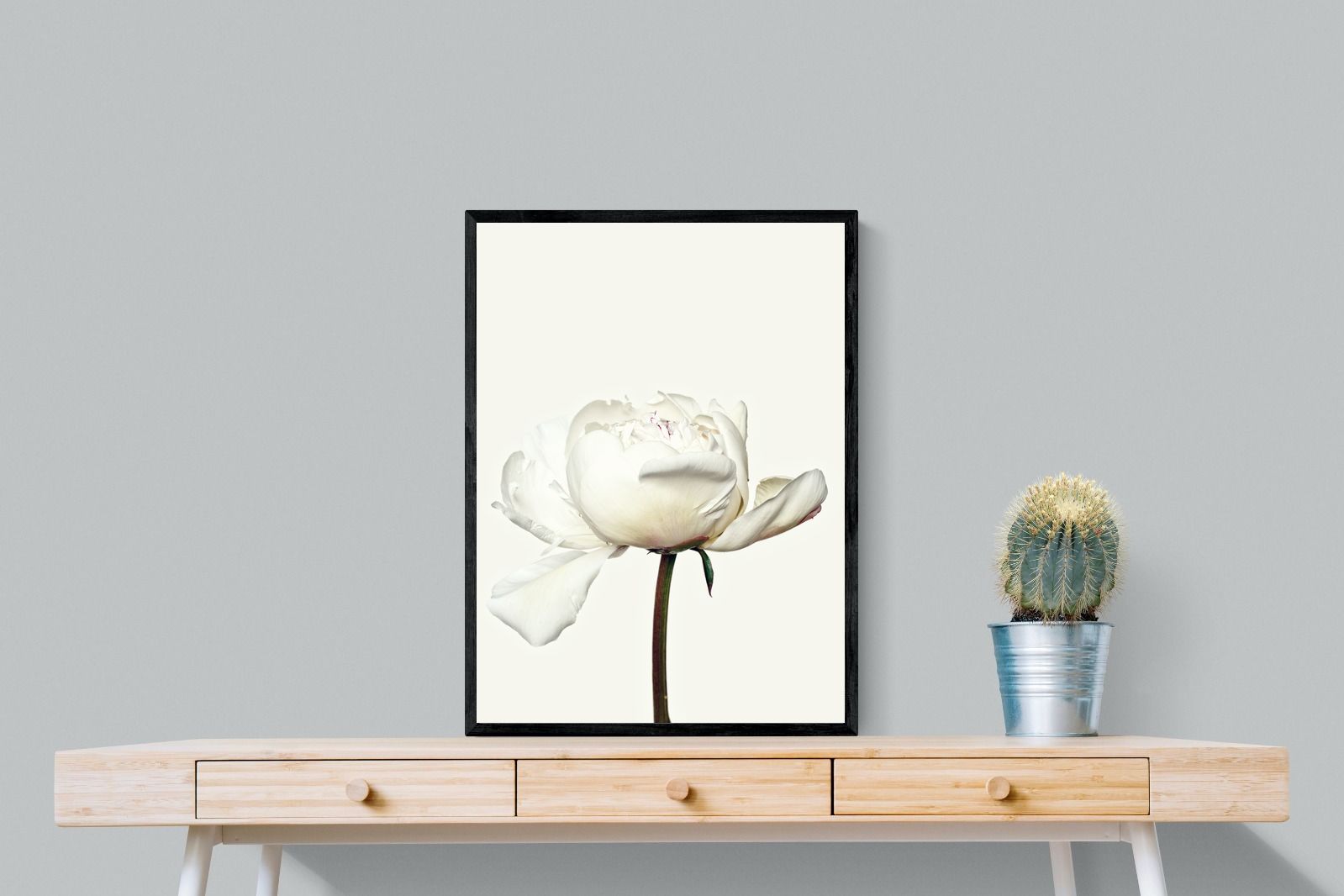 Pixalot White Peony
