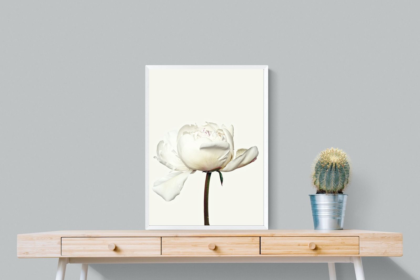 Pixalot White Peony