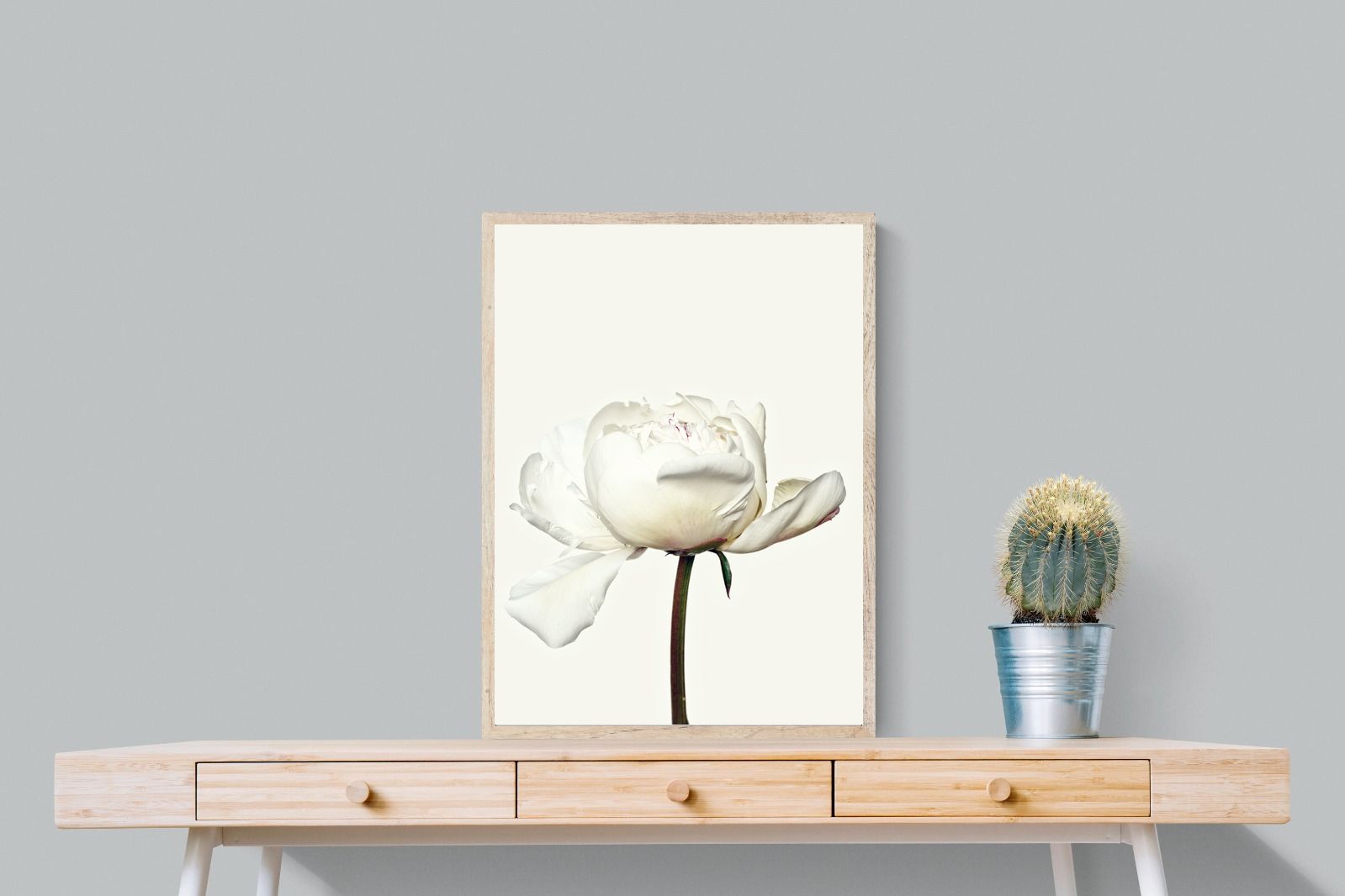 Pixalot White Peony