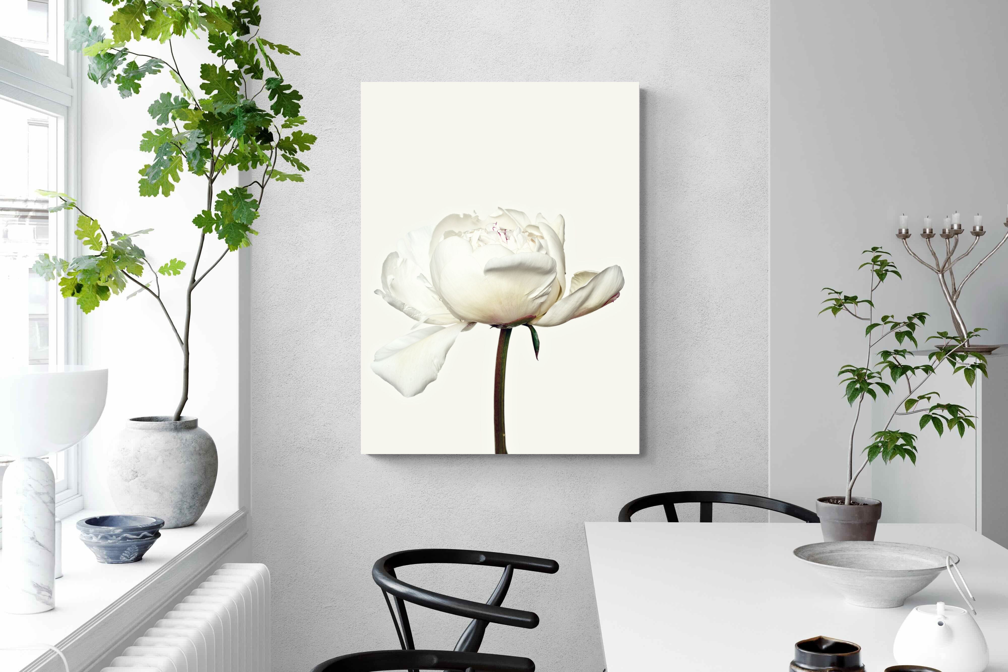 Pixalot White Peony