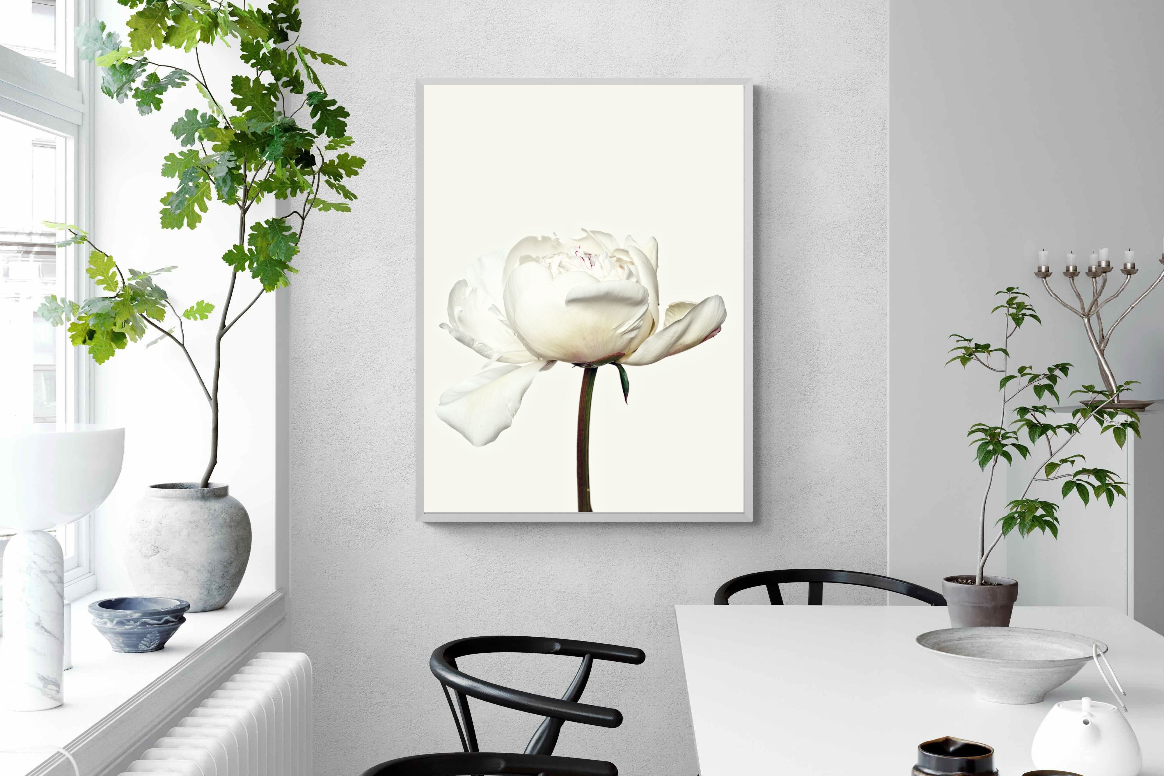 Pixalot White Peony