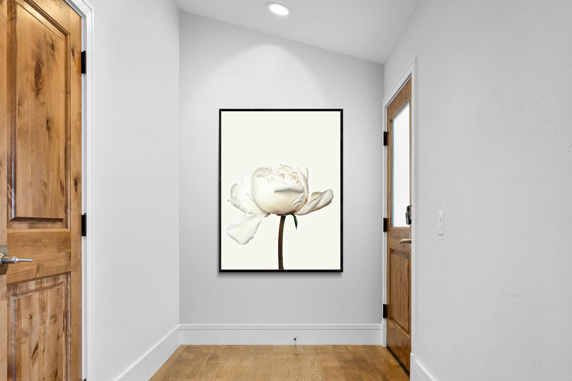 Pixalot White Peony