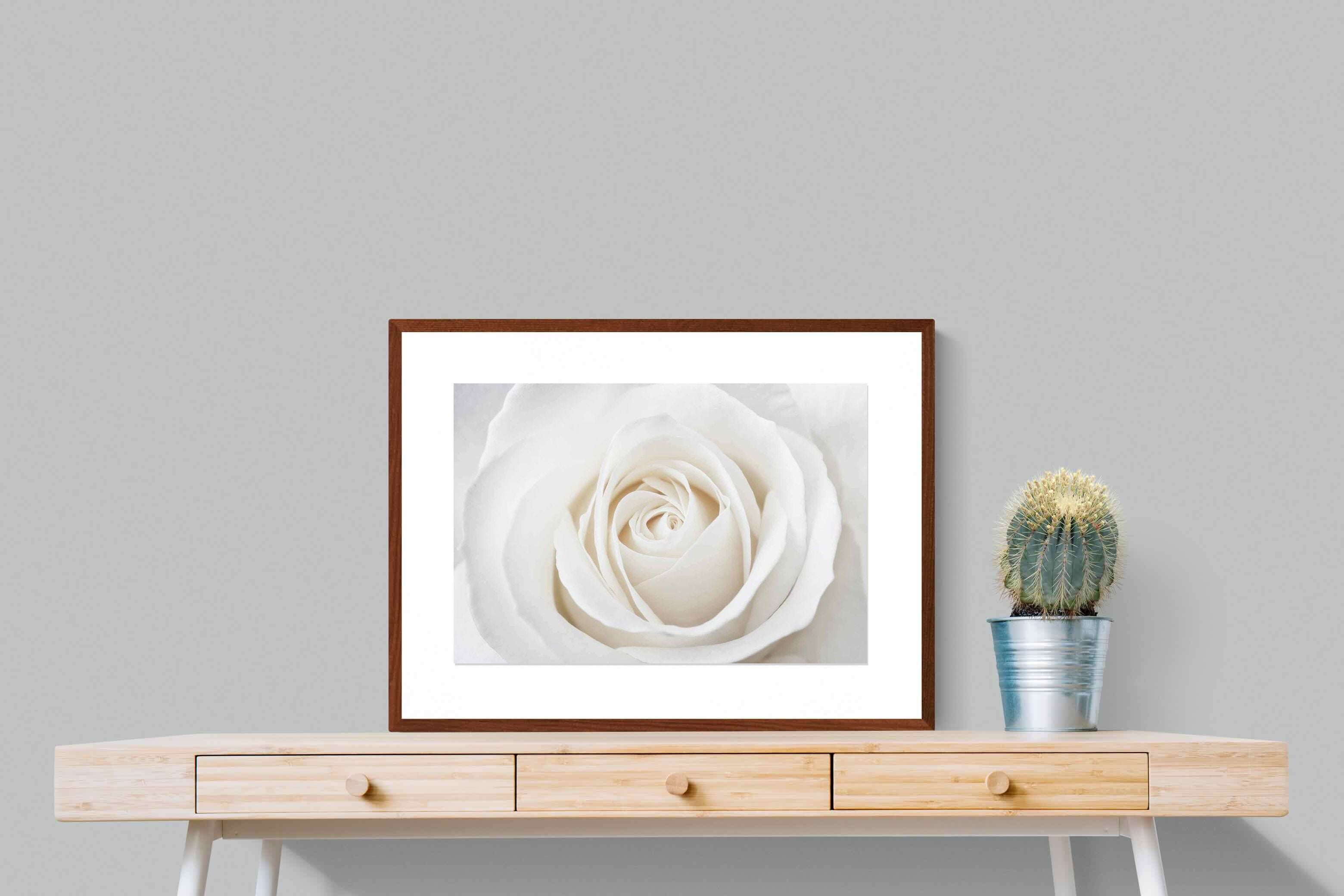 Pixalot ® White Rose
