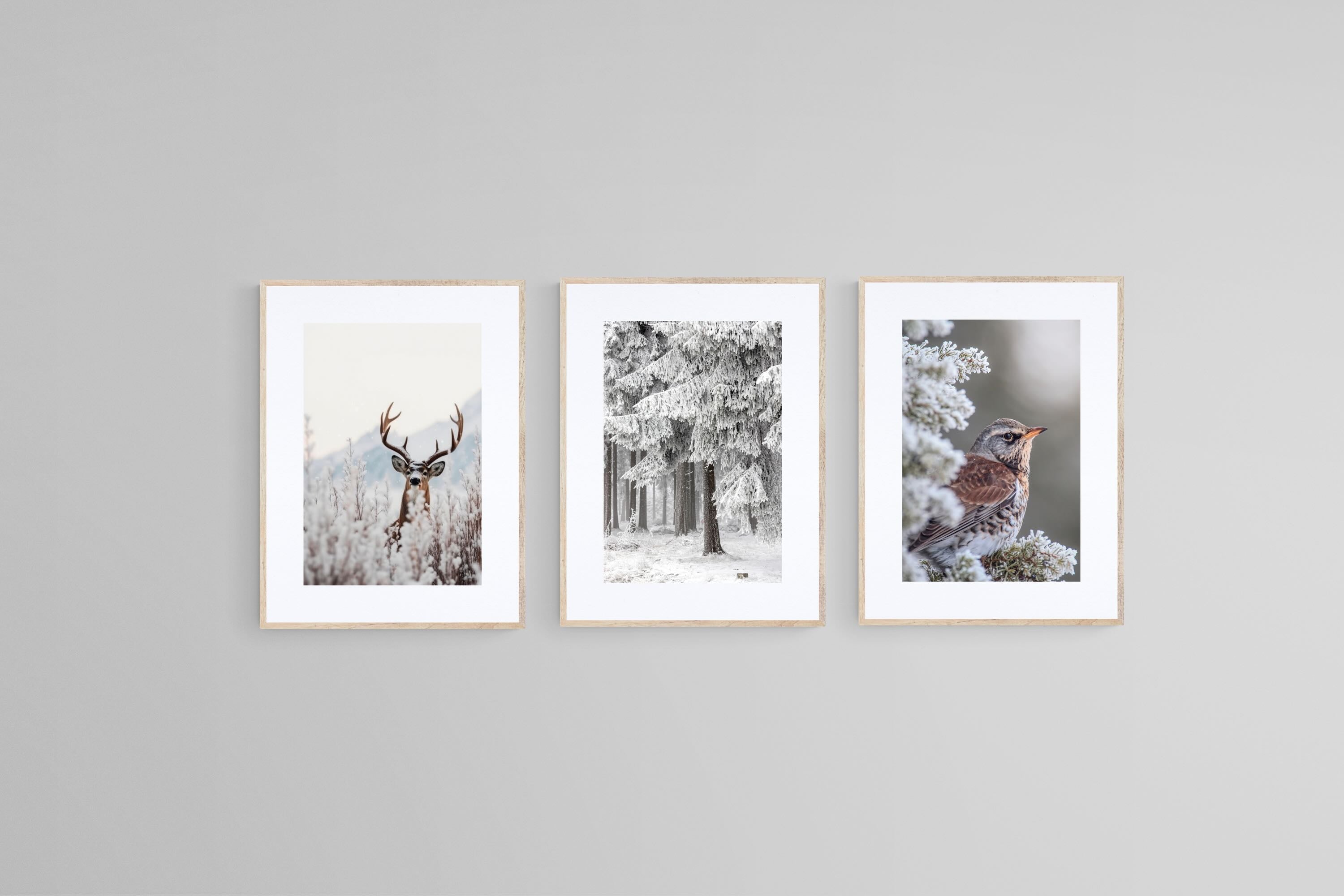 Winter Wonderland Set