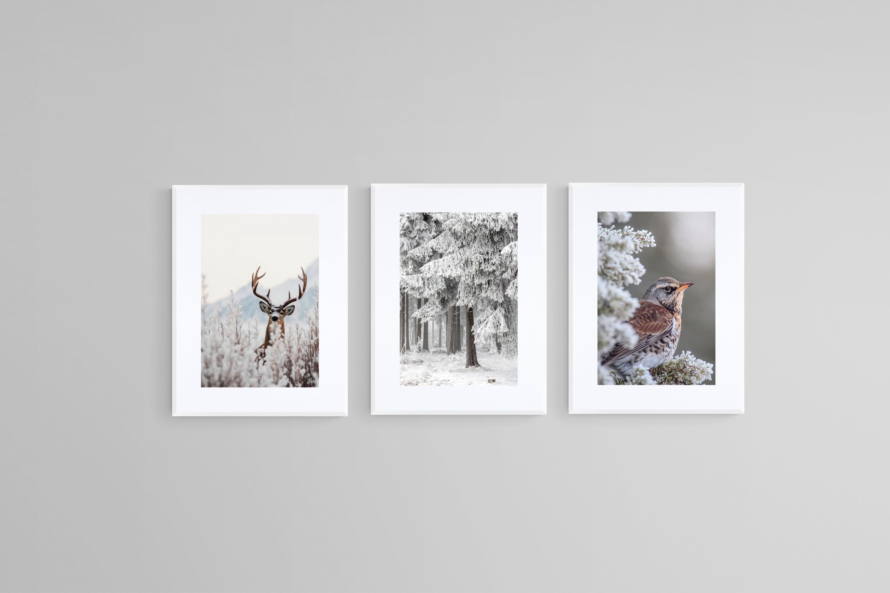 Winter Wonderland Set