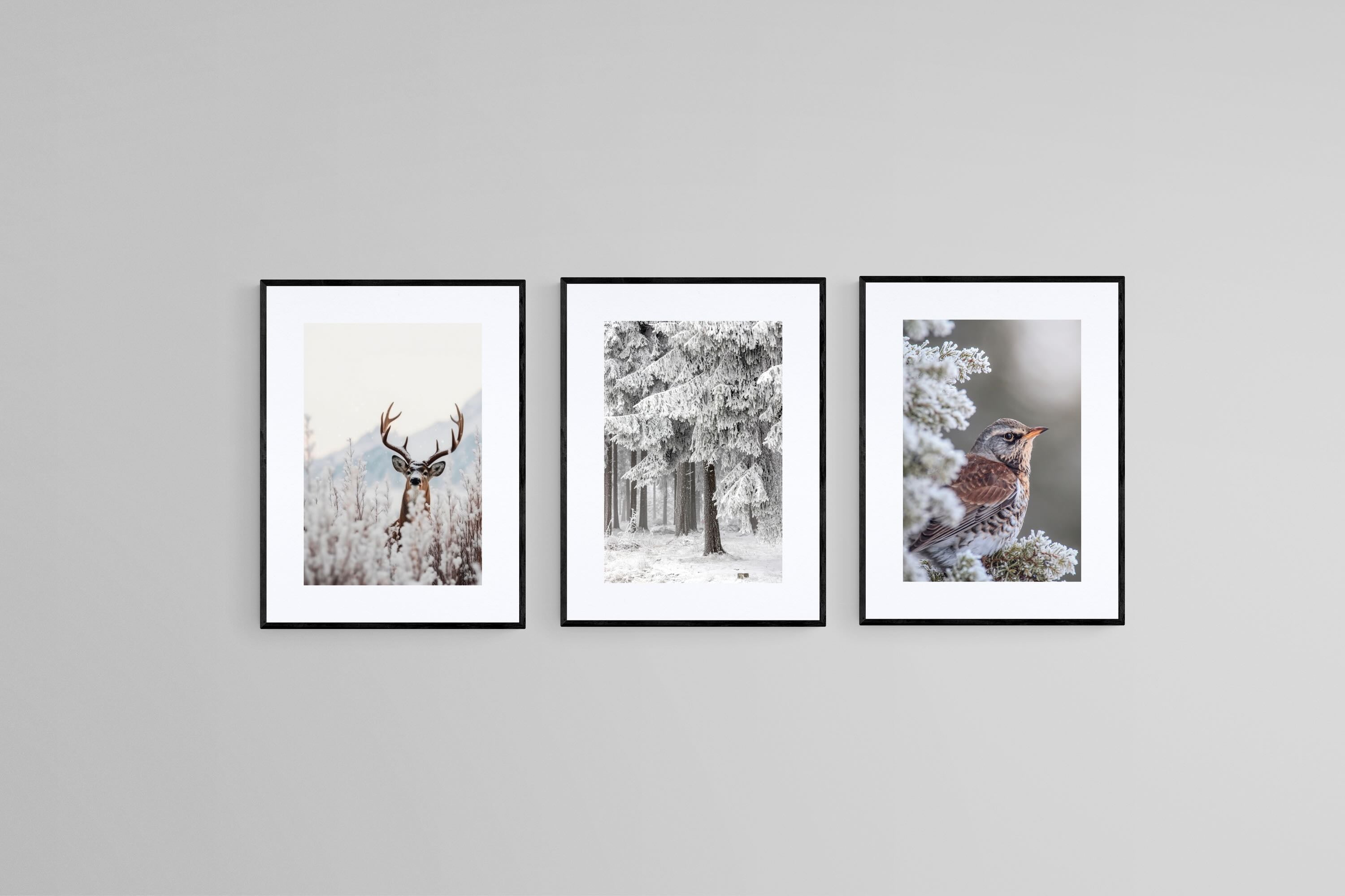 Winter Wonderland Set