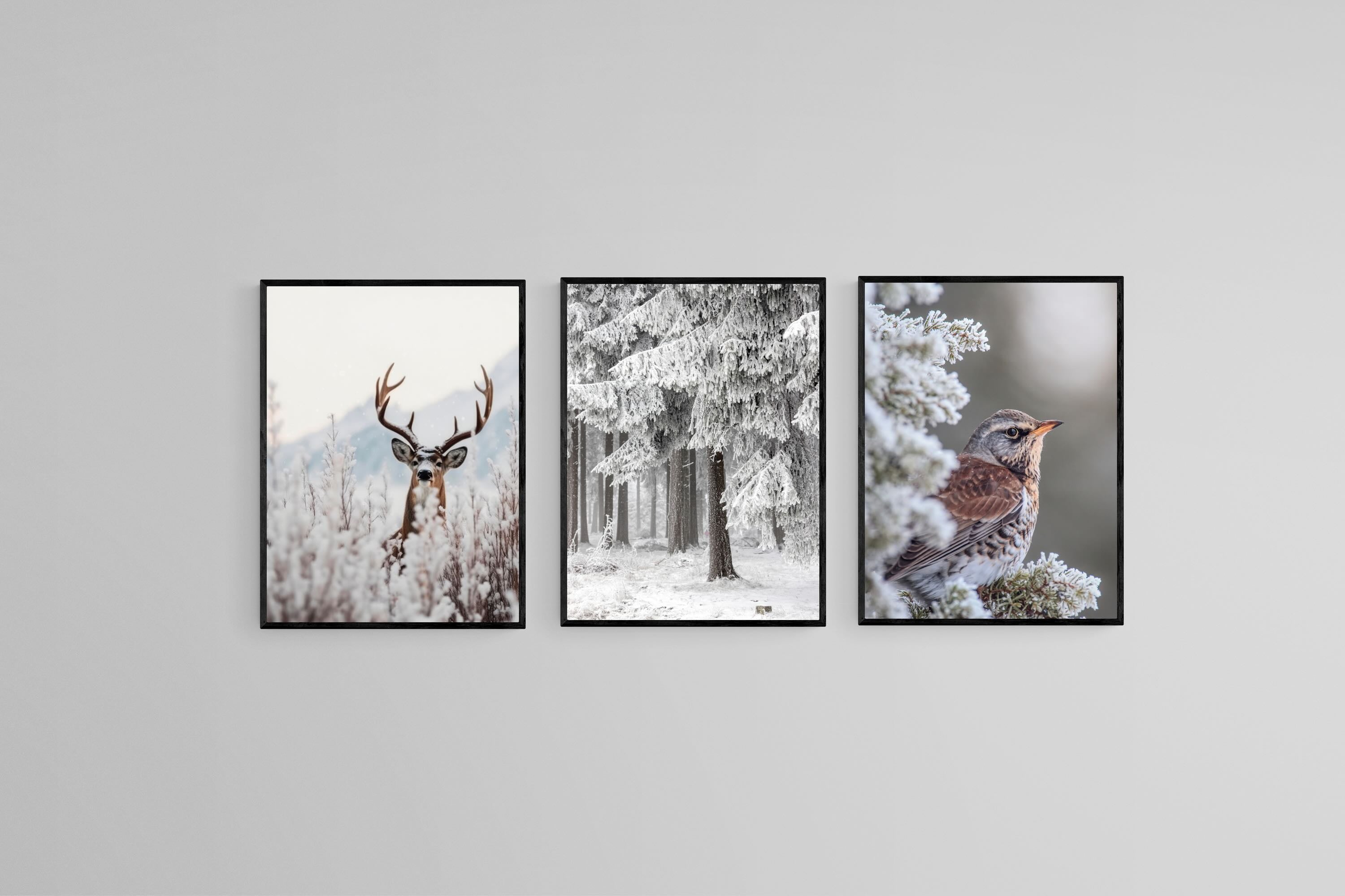 Winter Wonderland Set