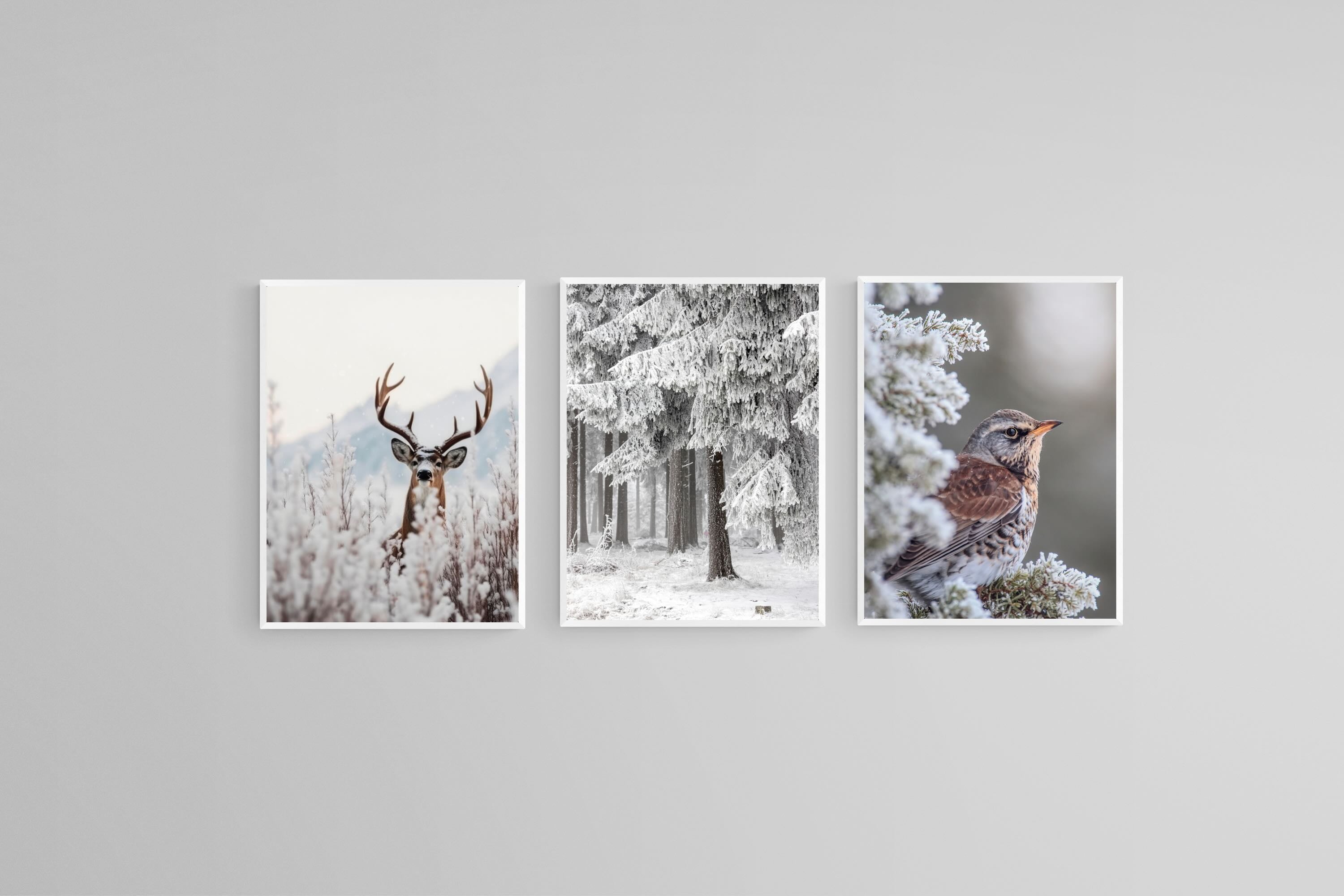 Winter Wonderland Set