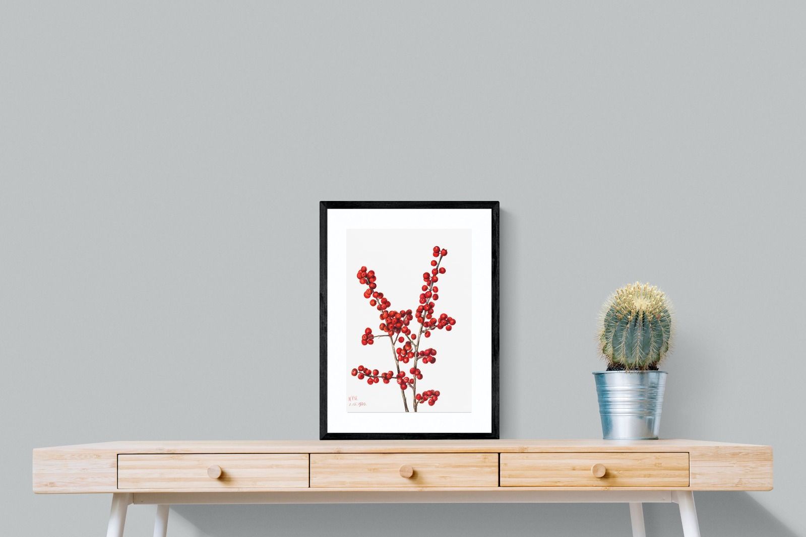 Pixalot Winterberry