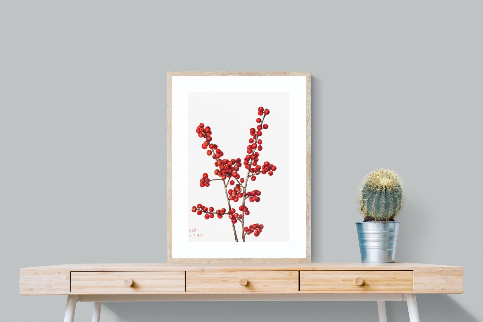 Pixalot Winterberry