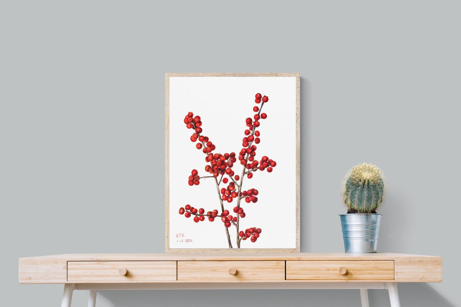 Pixalot Winterberry