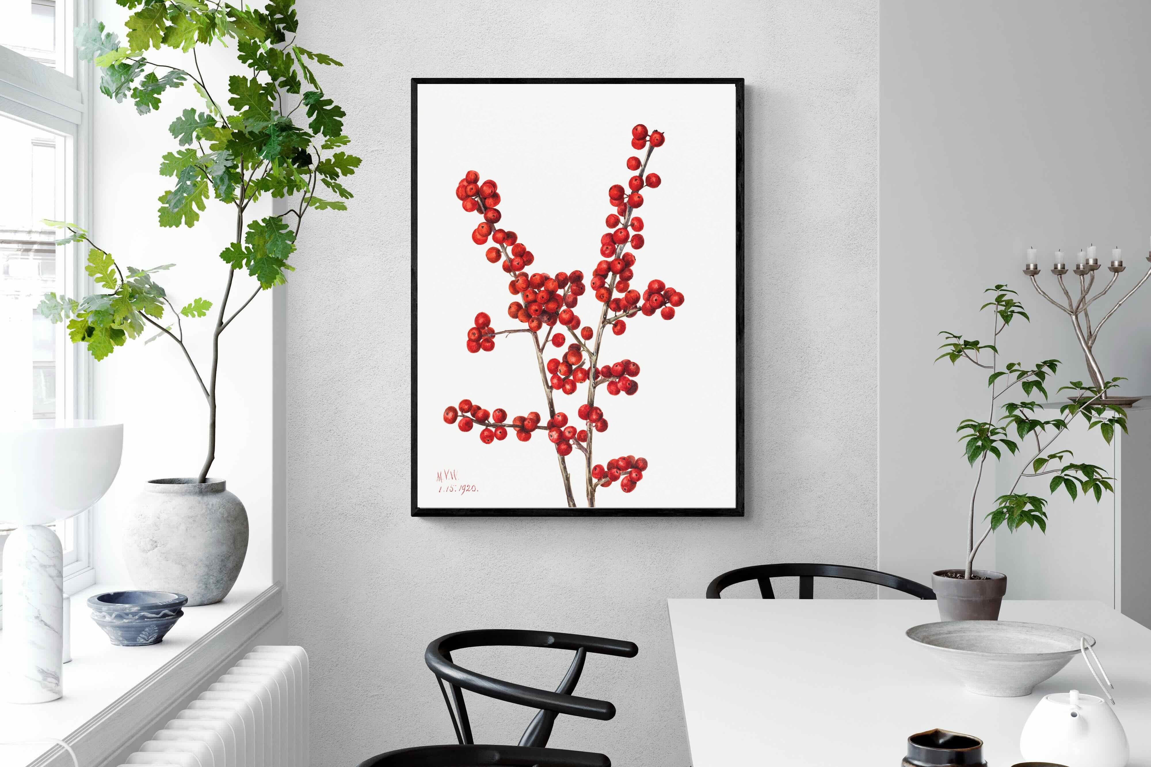 Pixalot Winterberry