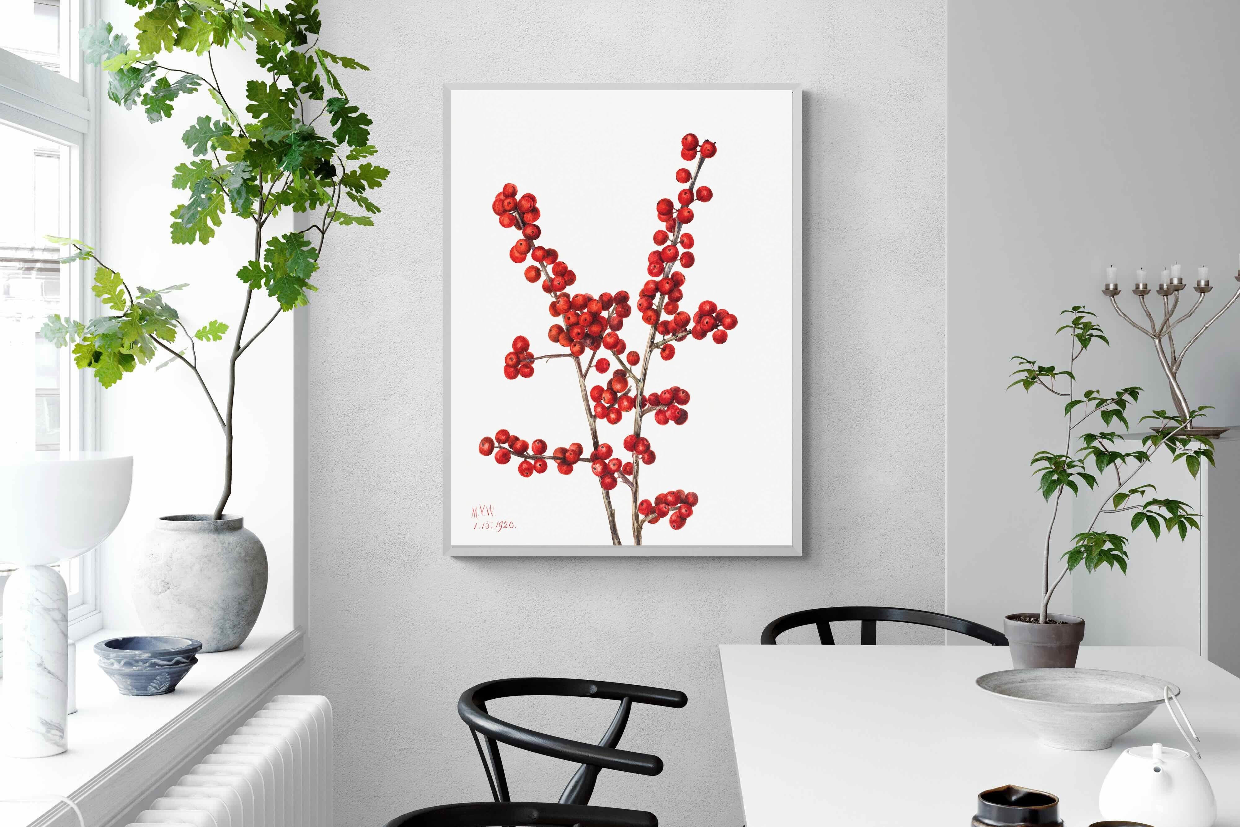 Pixalot Winterberry
