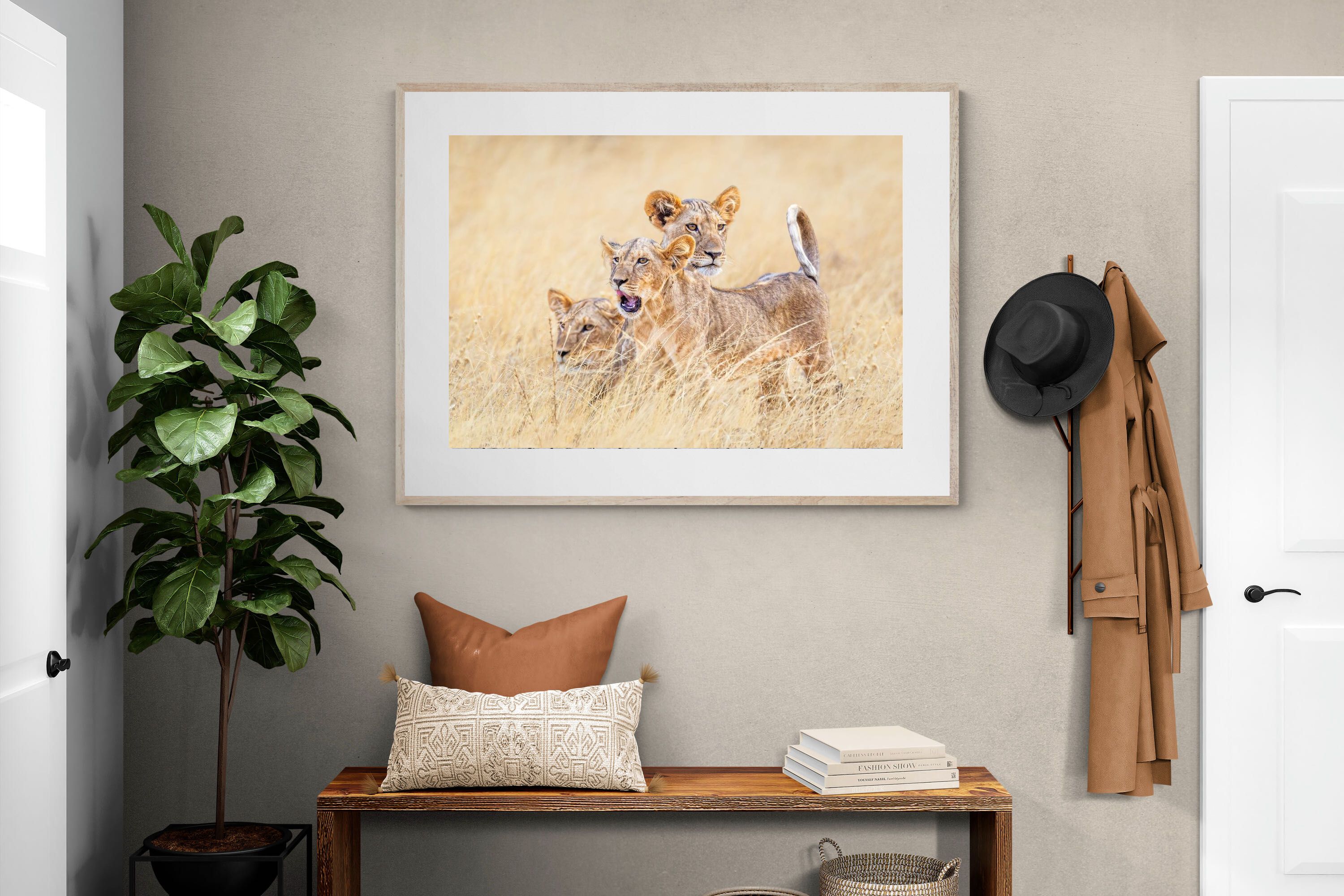 Pixalot Young Royals