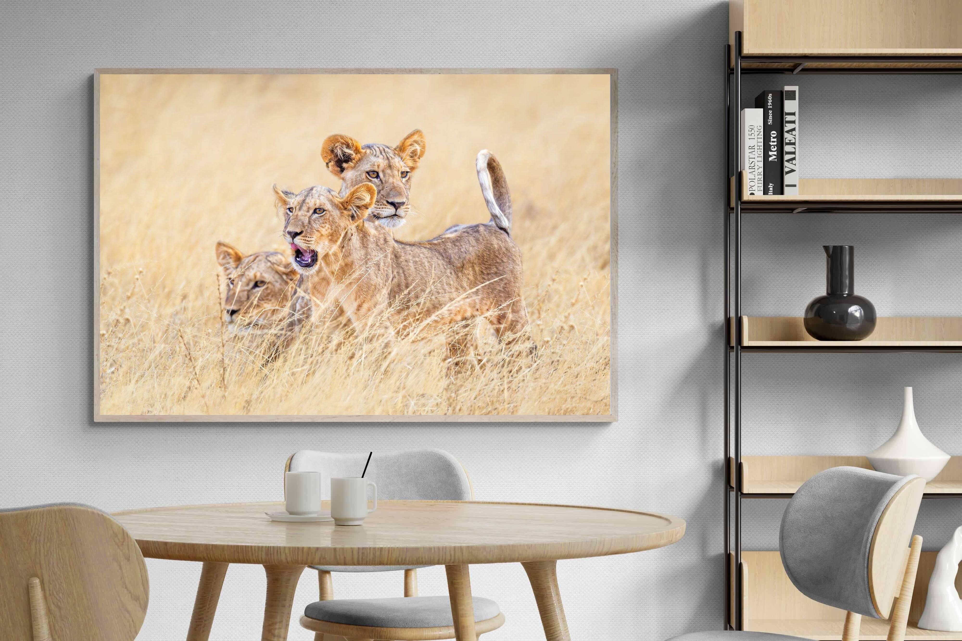 Pixalot Young Royals