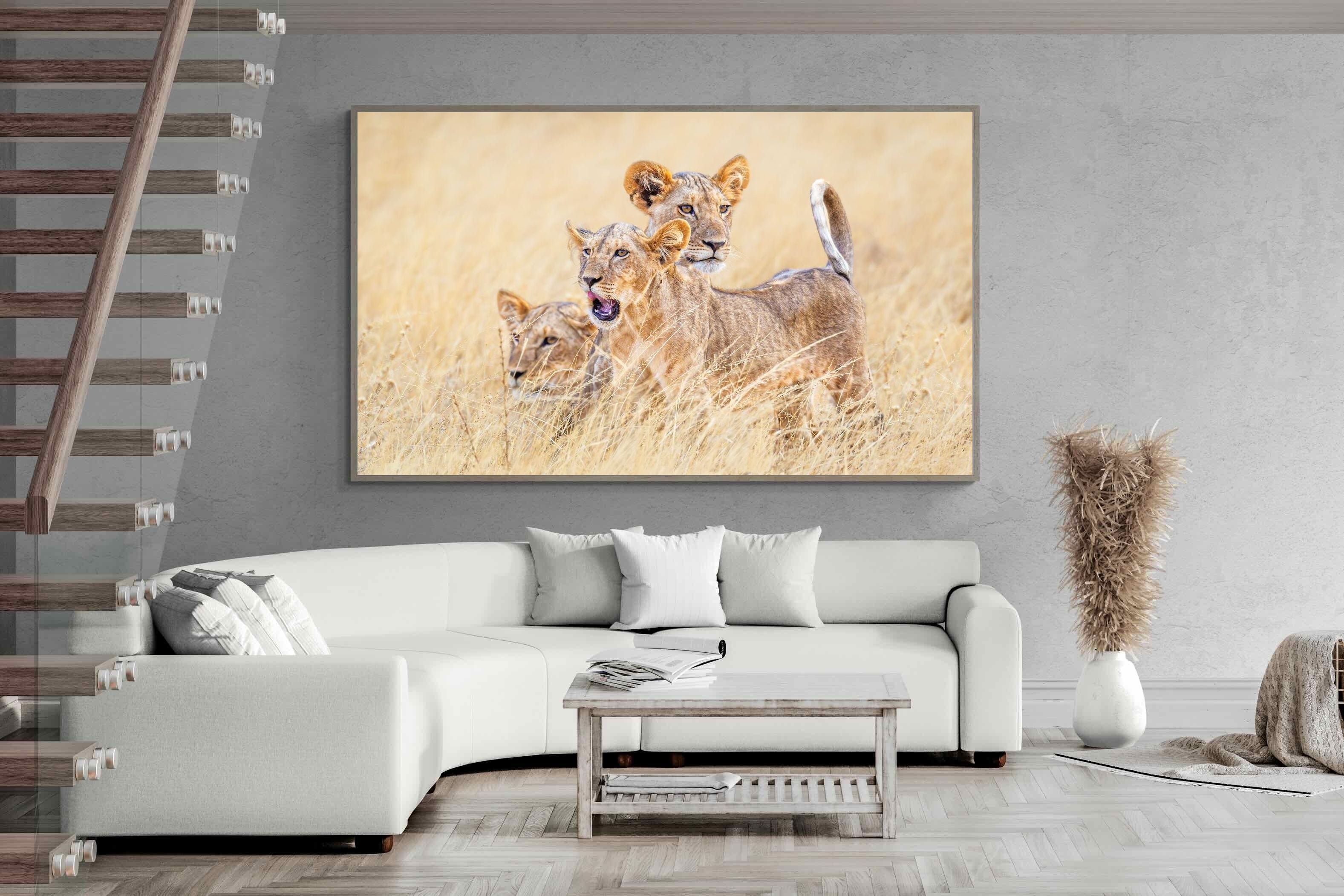 Pixalot Young Royals