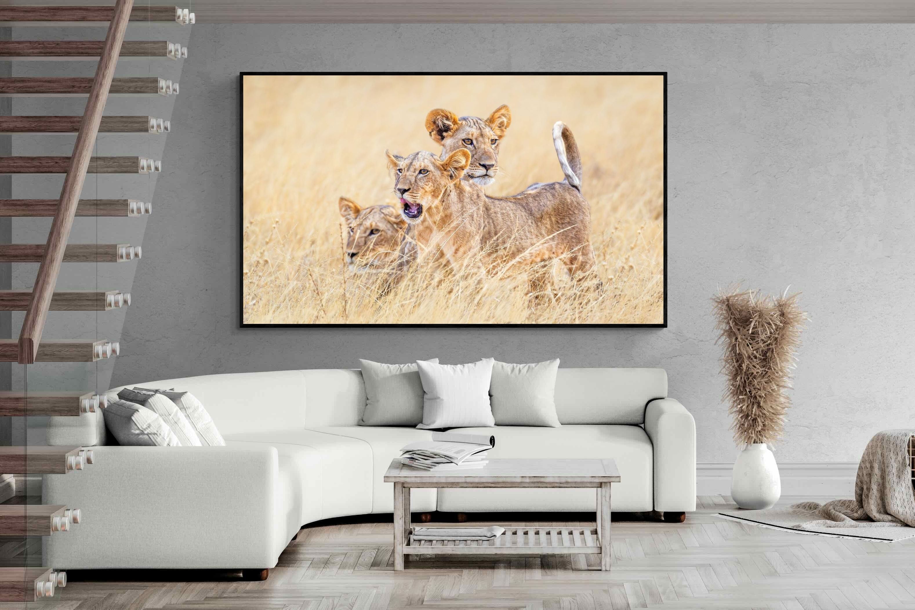 Pixalot Young Royals