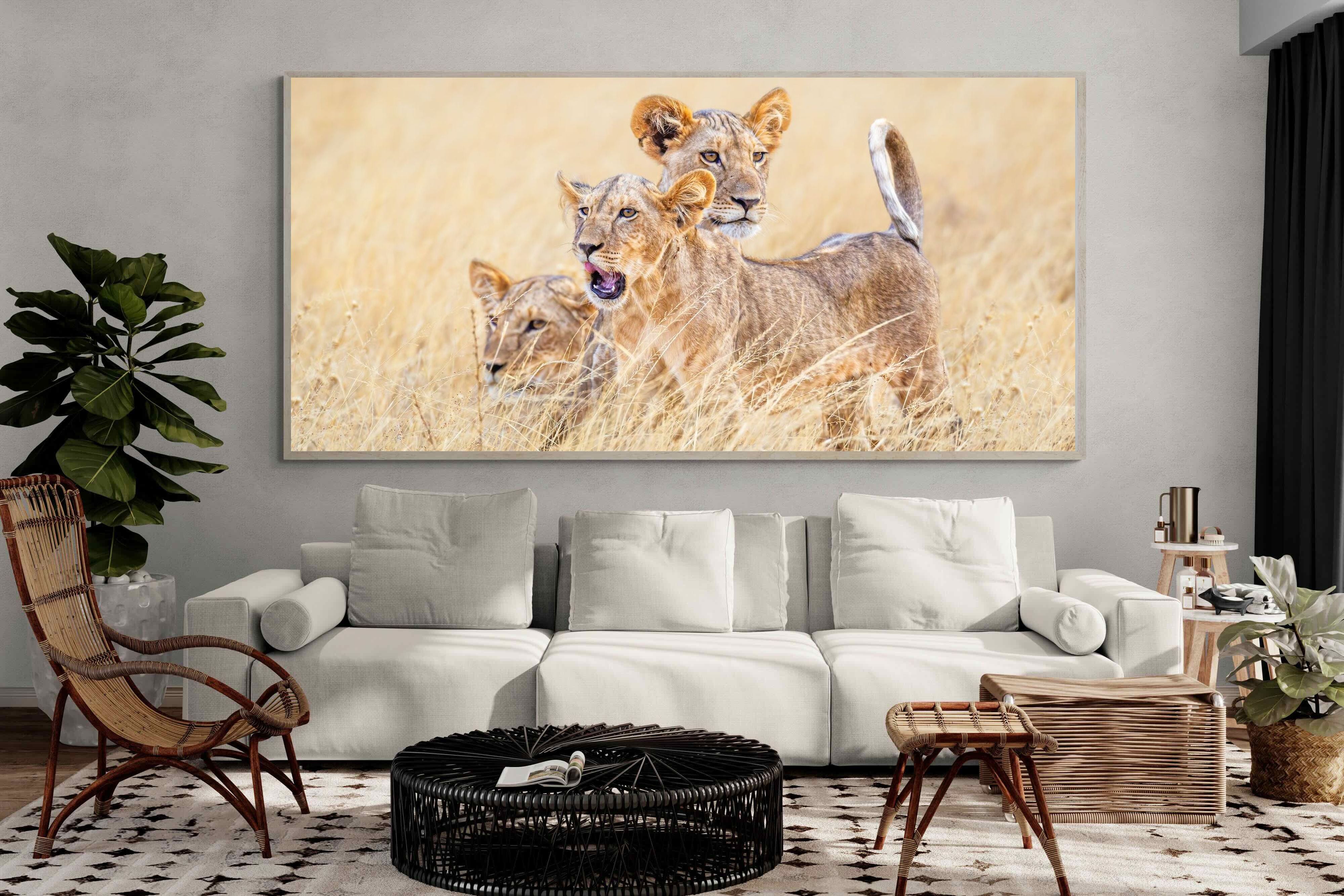 Pixalot Young Royals