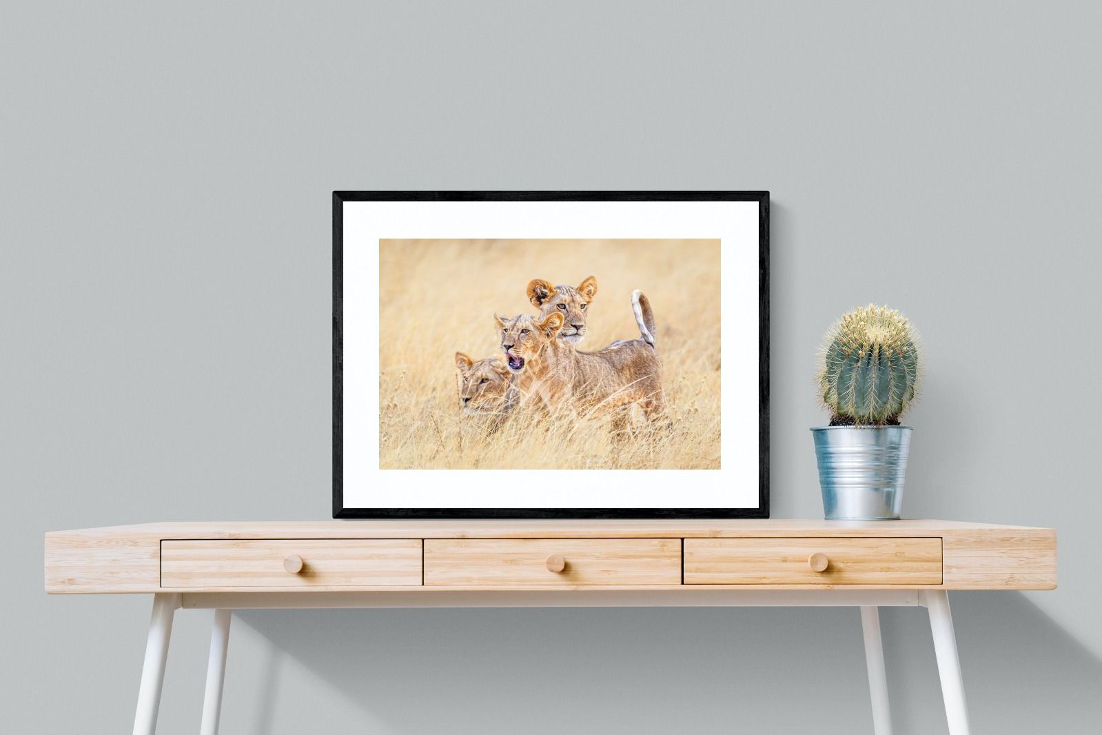 Pixalot Young Royals