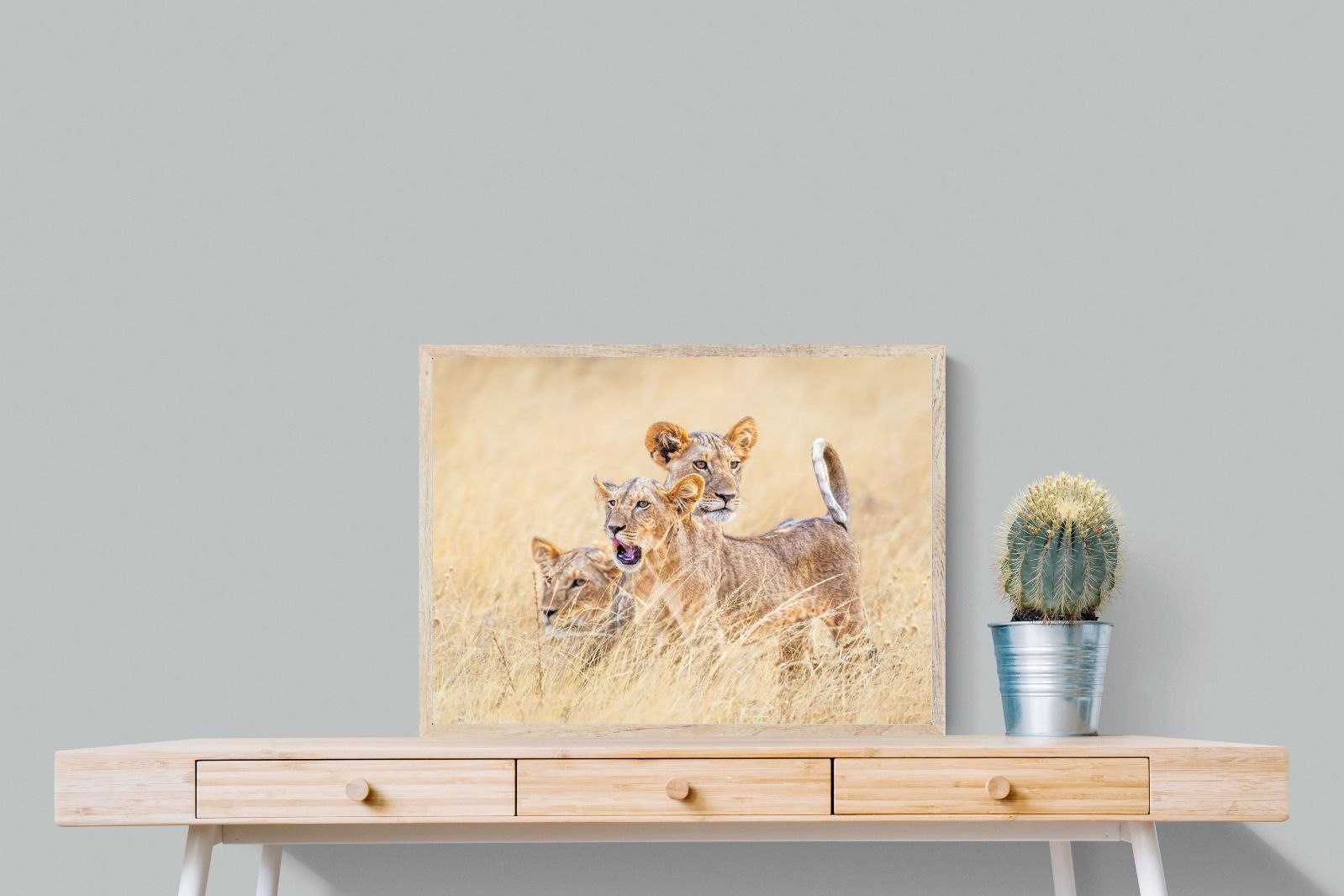 Pixalot Young Royals