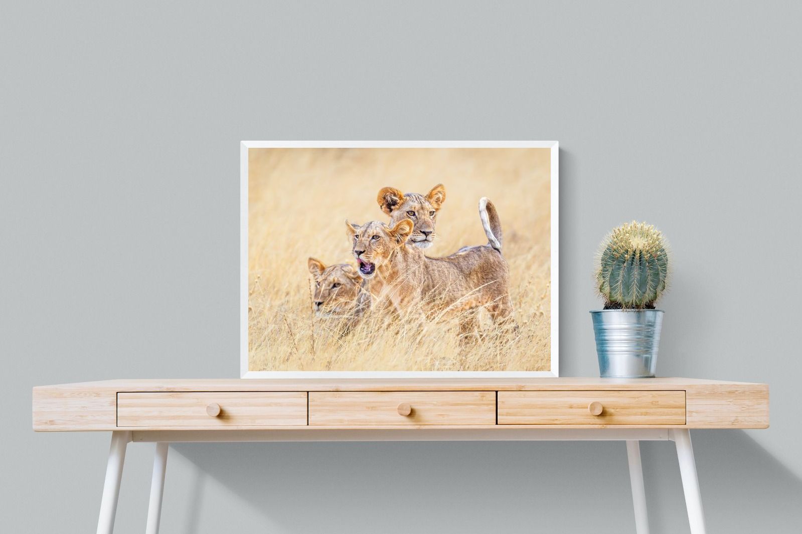 Pixalot Young Royals