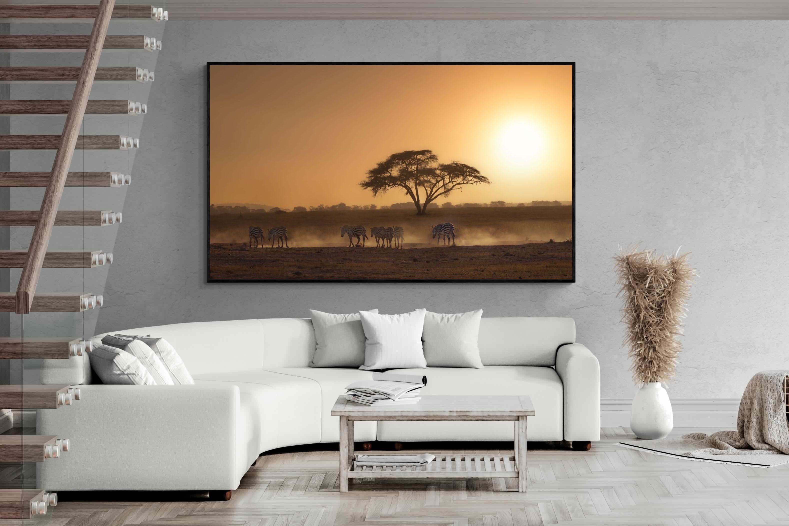 Pixalot Zebra at Dusk