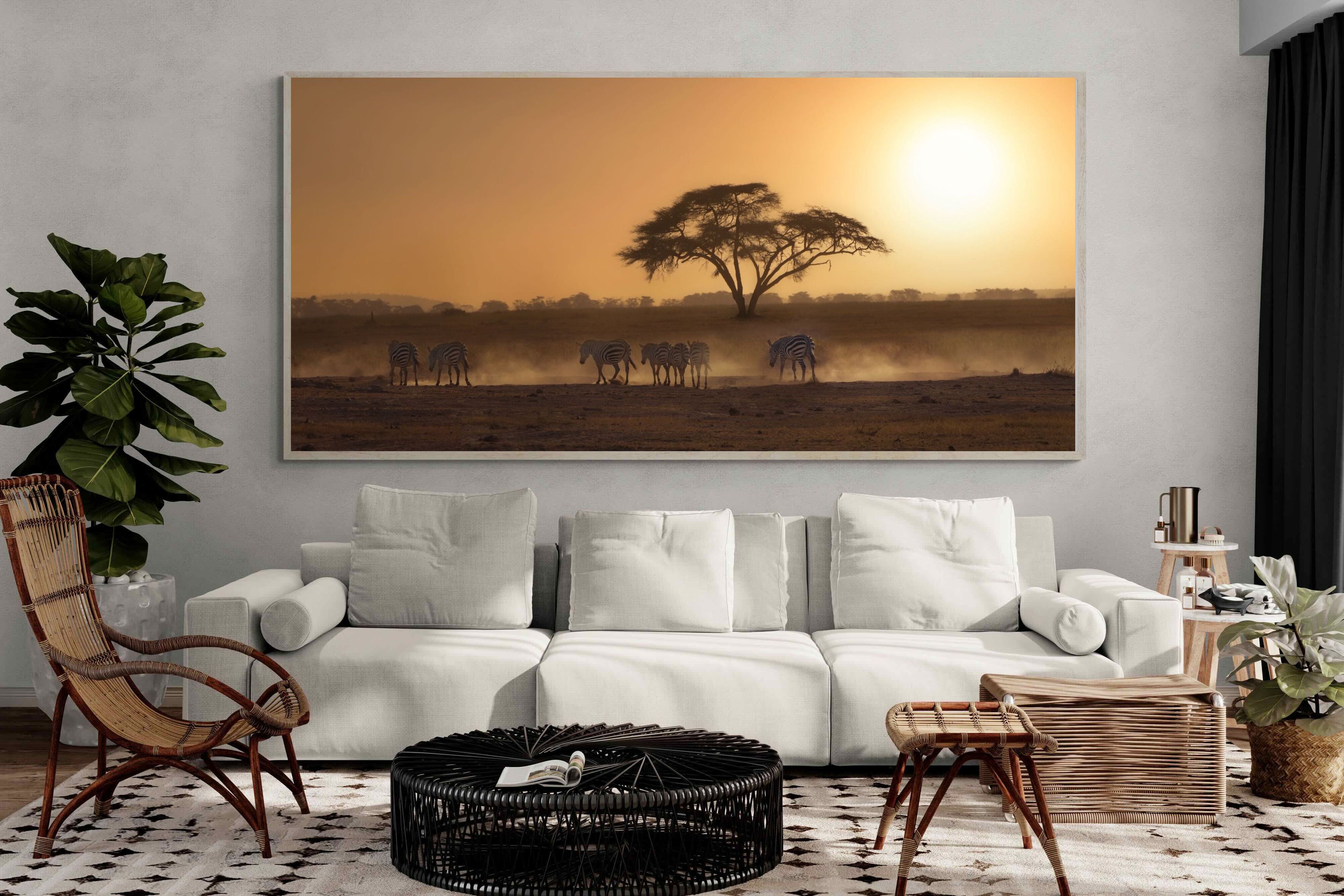 Pixalot Zebra at Dusk