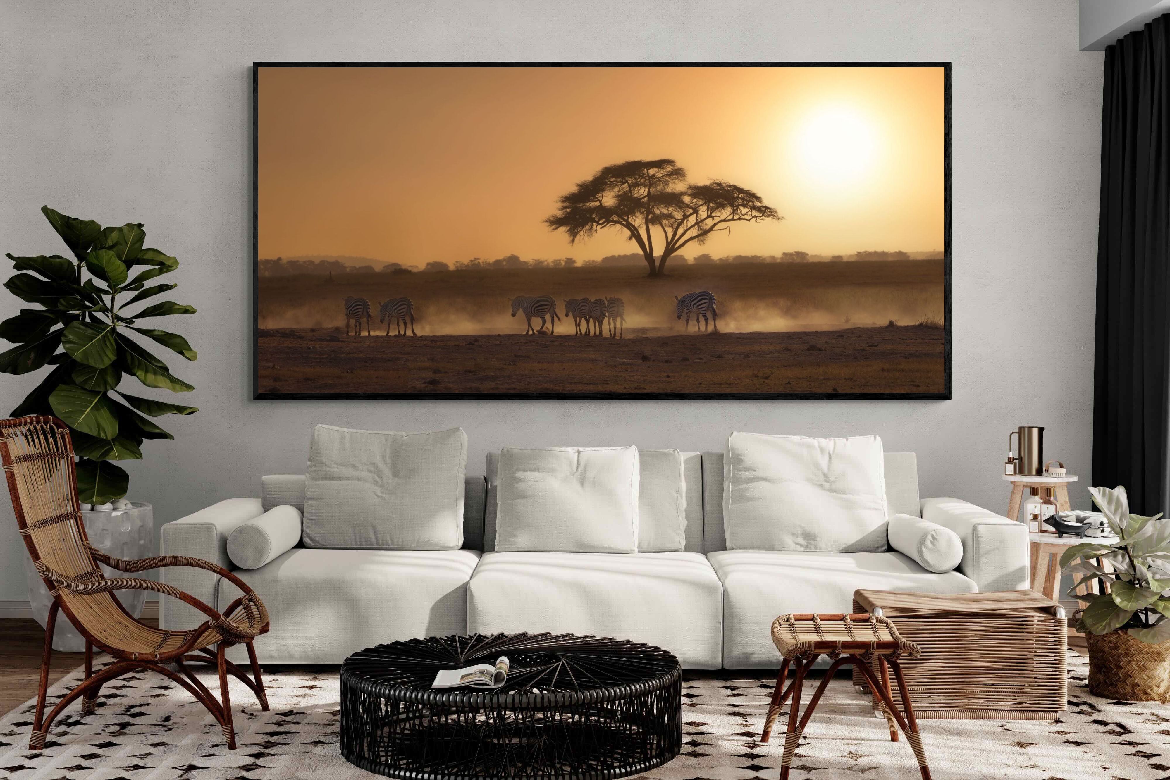 Pixalot Zebra at Dusk