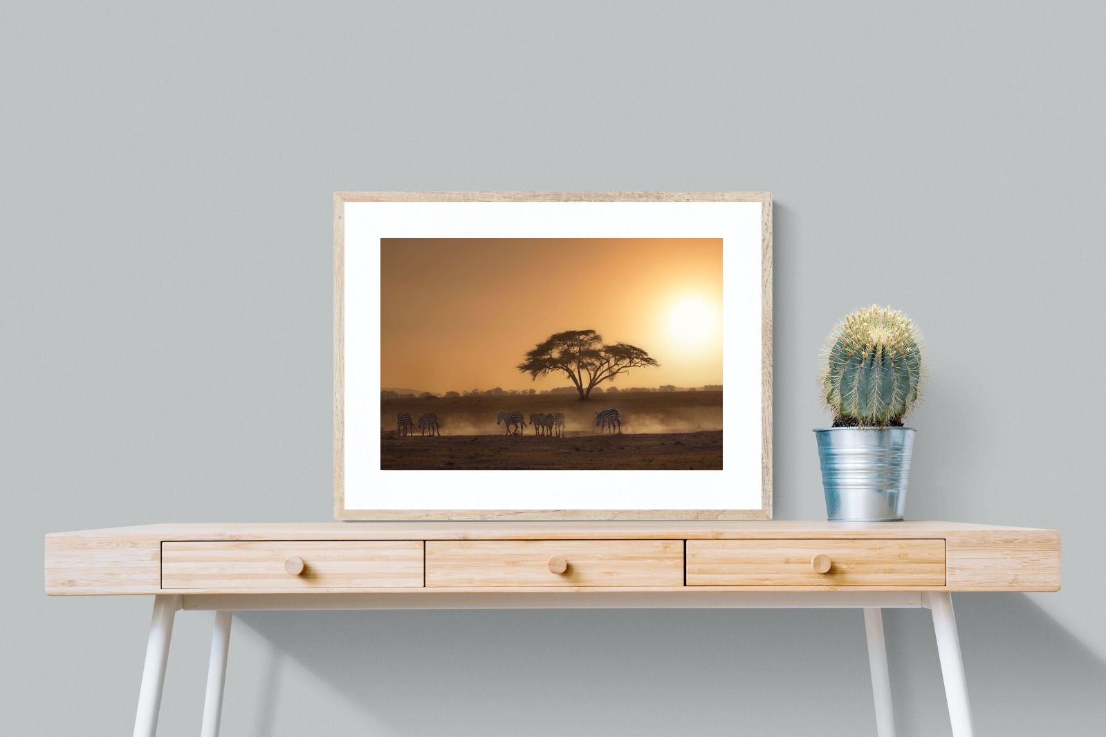 Pixalot Zebra at Dusk