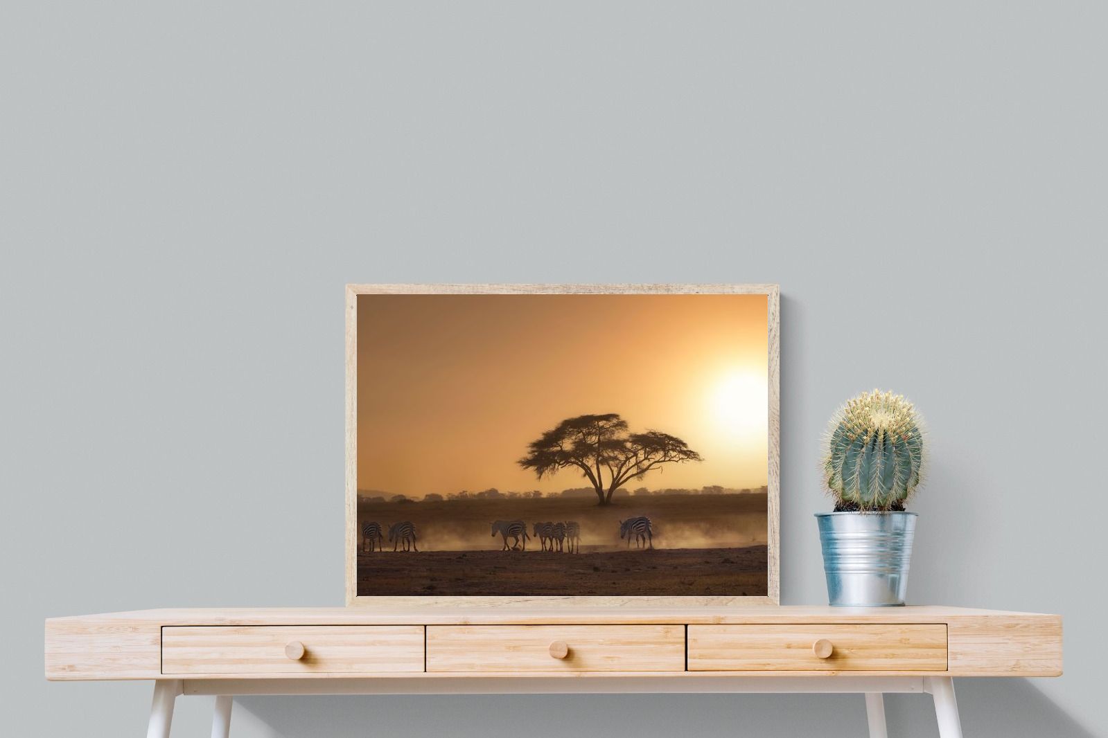 Pixalot Zebra at Dusk