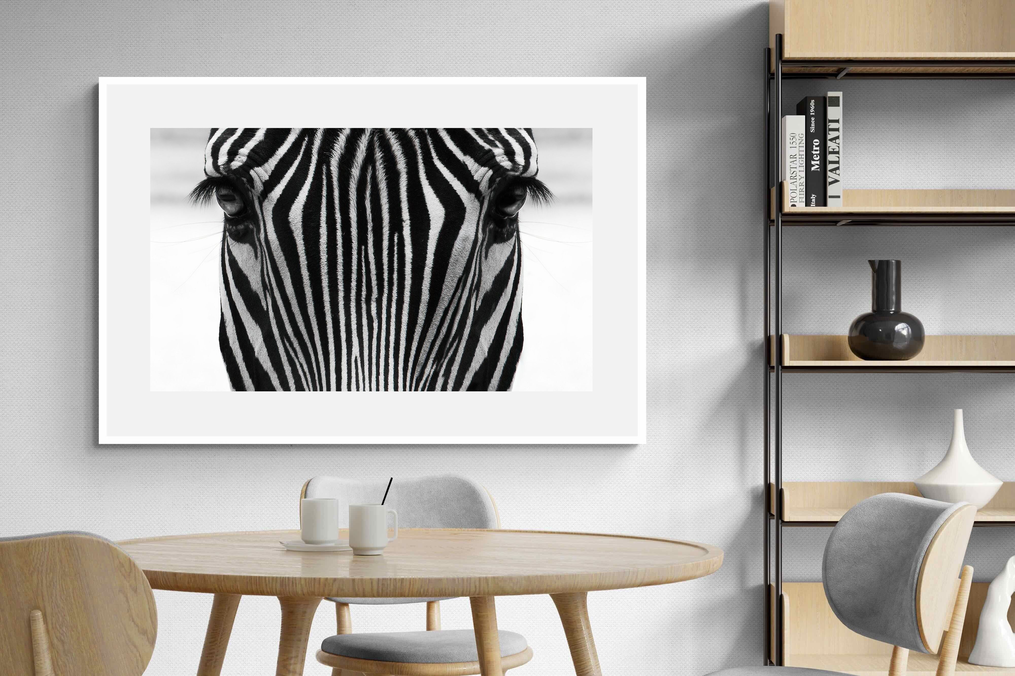 Pixalot Zebra Gaze