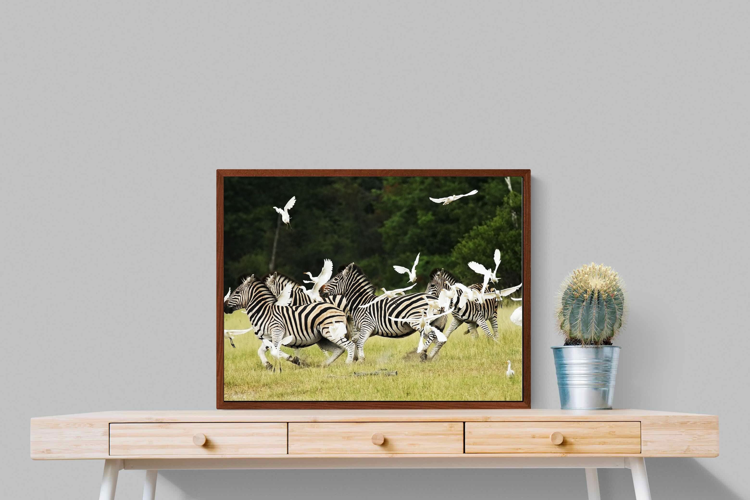 Pixalot Zebra & Herons (colour)