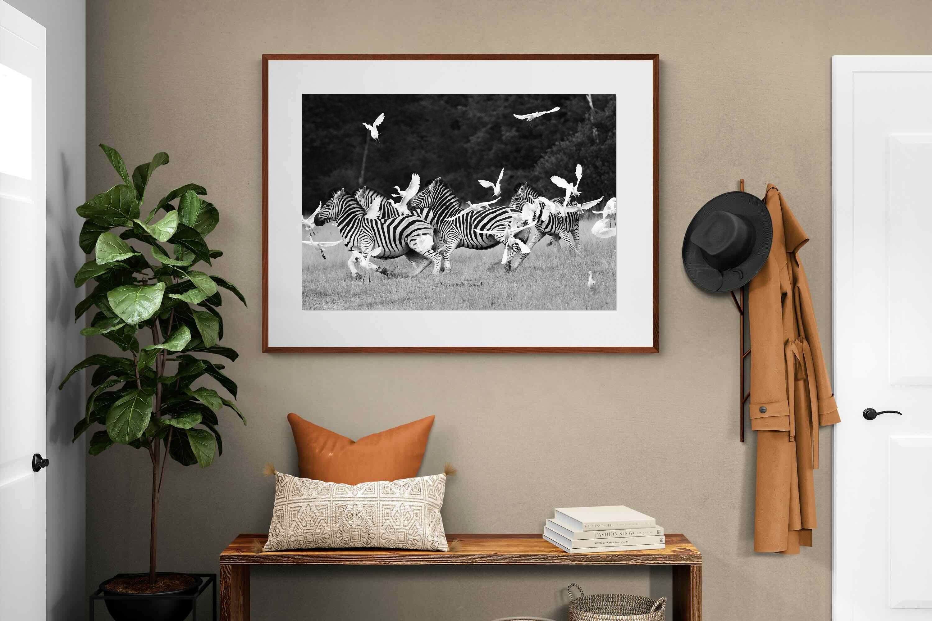 Pixalot Zebra & Herons