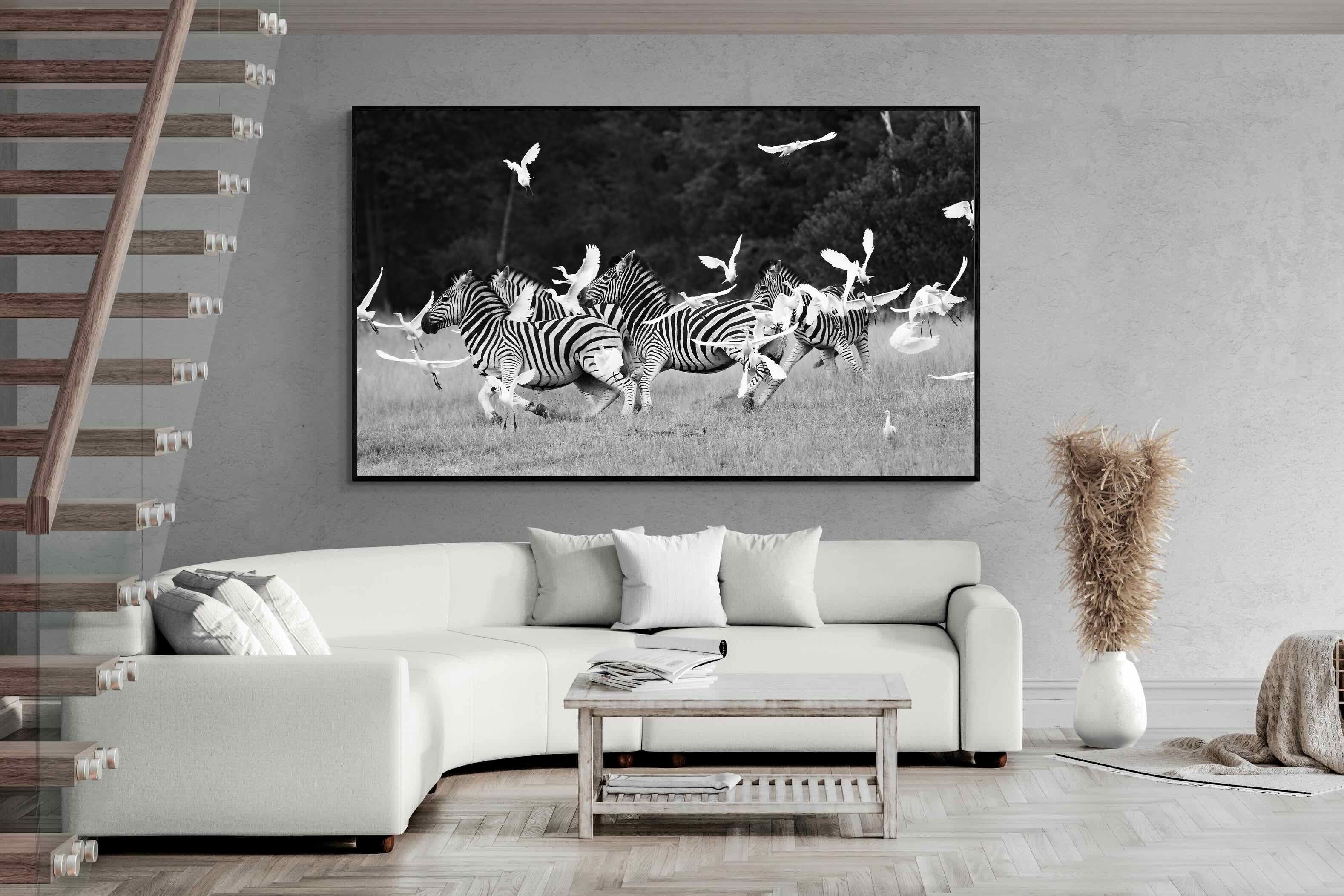 Pixalot Zebra & Herons