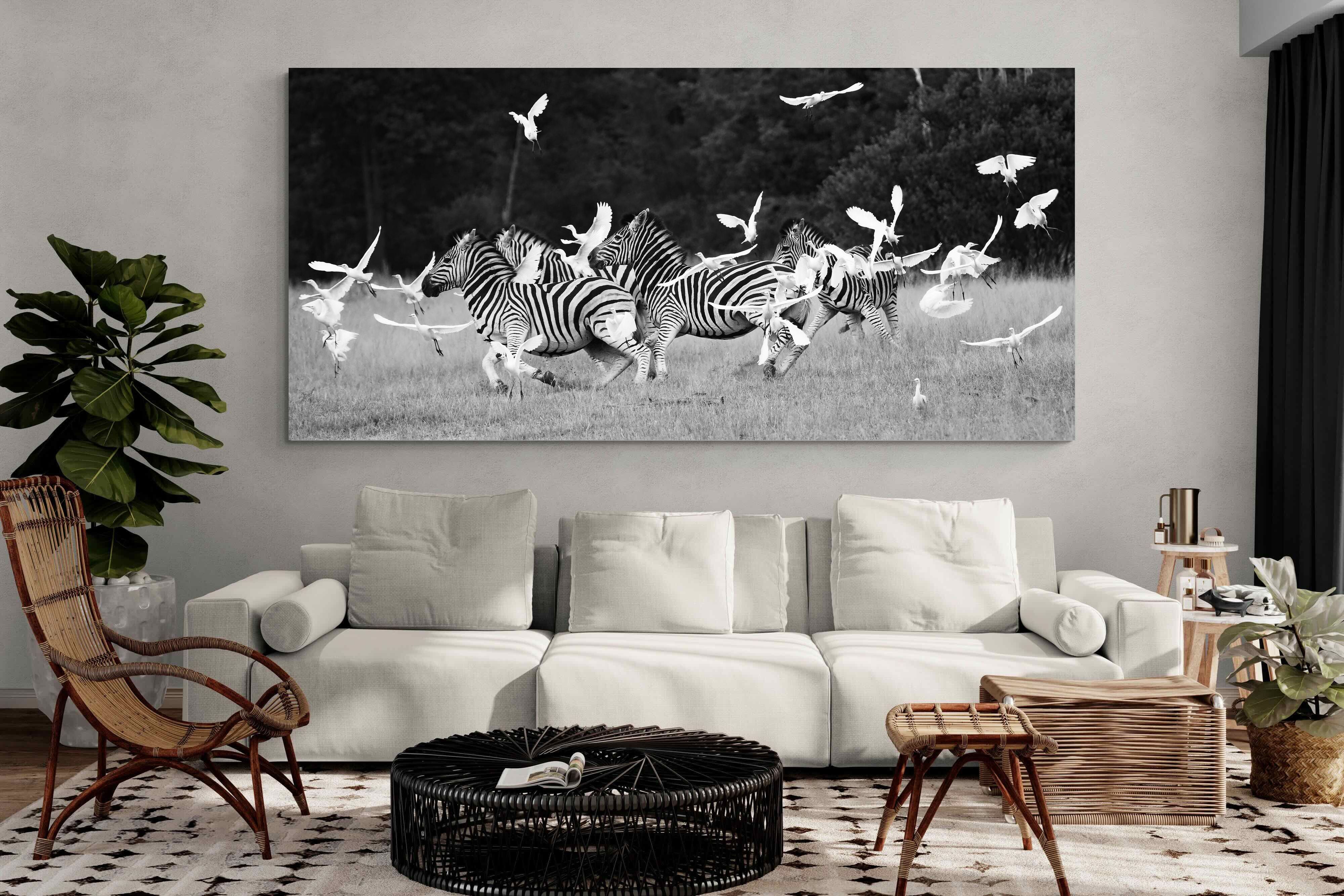 Pixalot Zebra & Herons