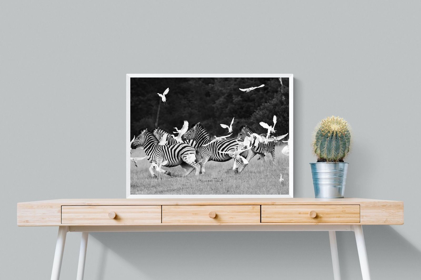 Pixalot Zebra & Herons
