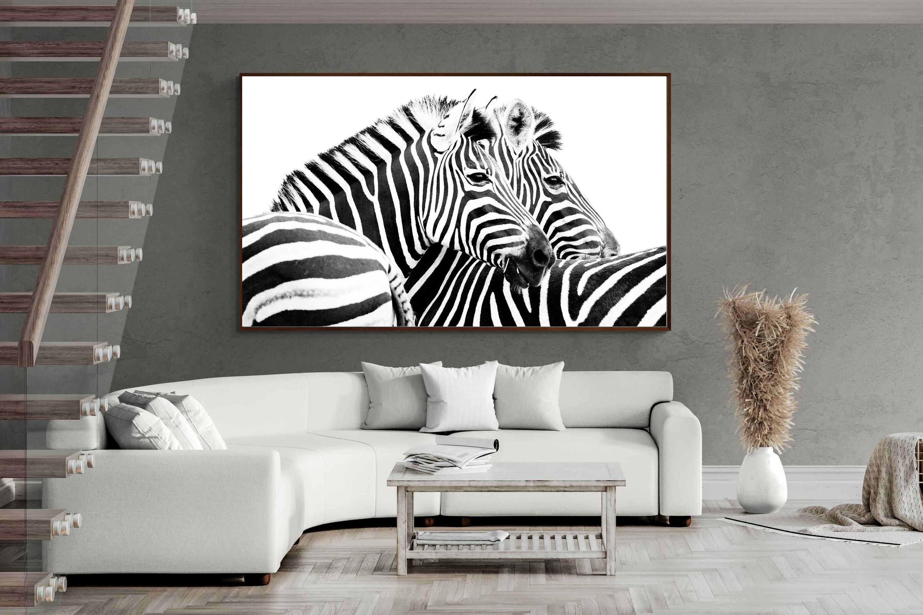 Pixalot ® Zebra Pair