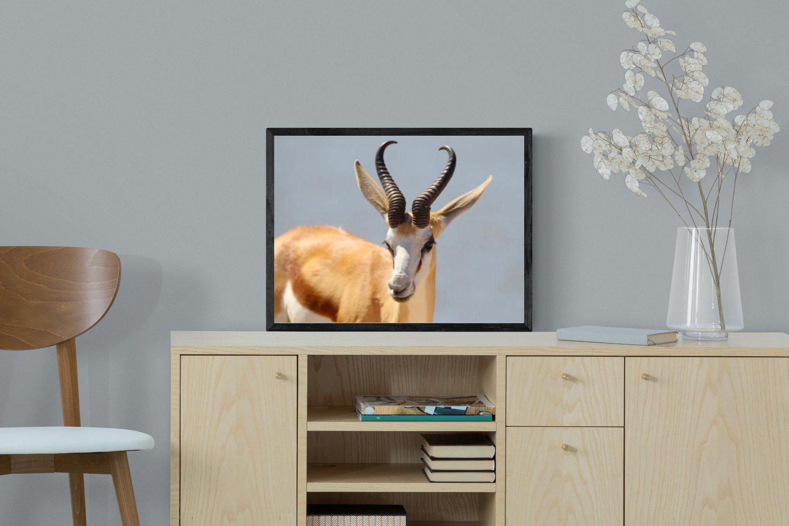 Bok-Wall_Art-60 x 45cm-Mounted Canvas-Black-Pixalot