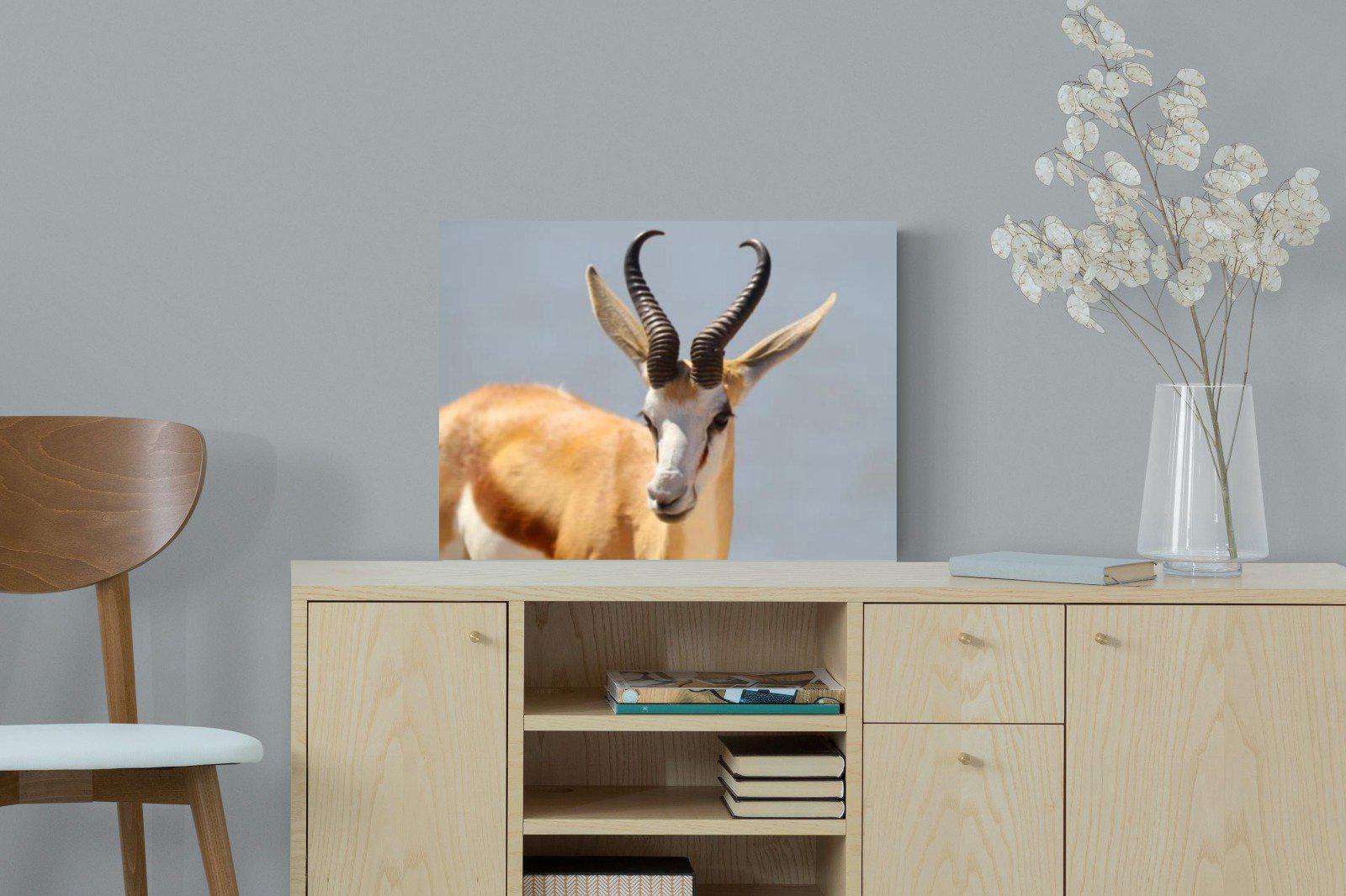 Bok-Wall_Art-60 x 45cm-Mounted Canvas-No Frame-Pixalot