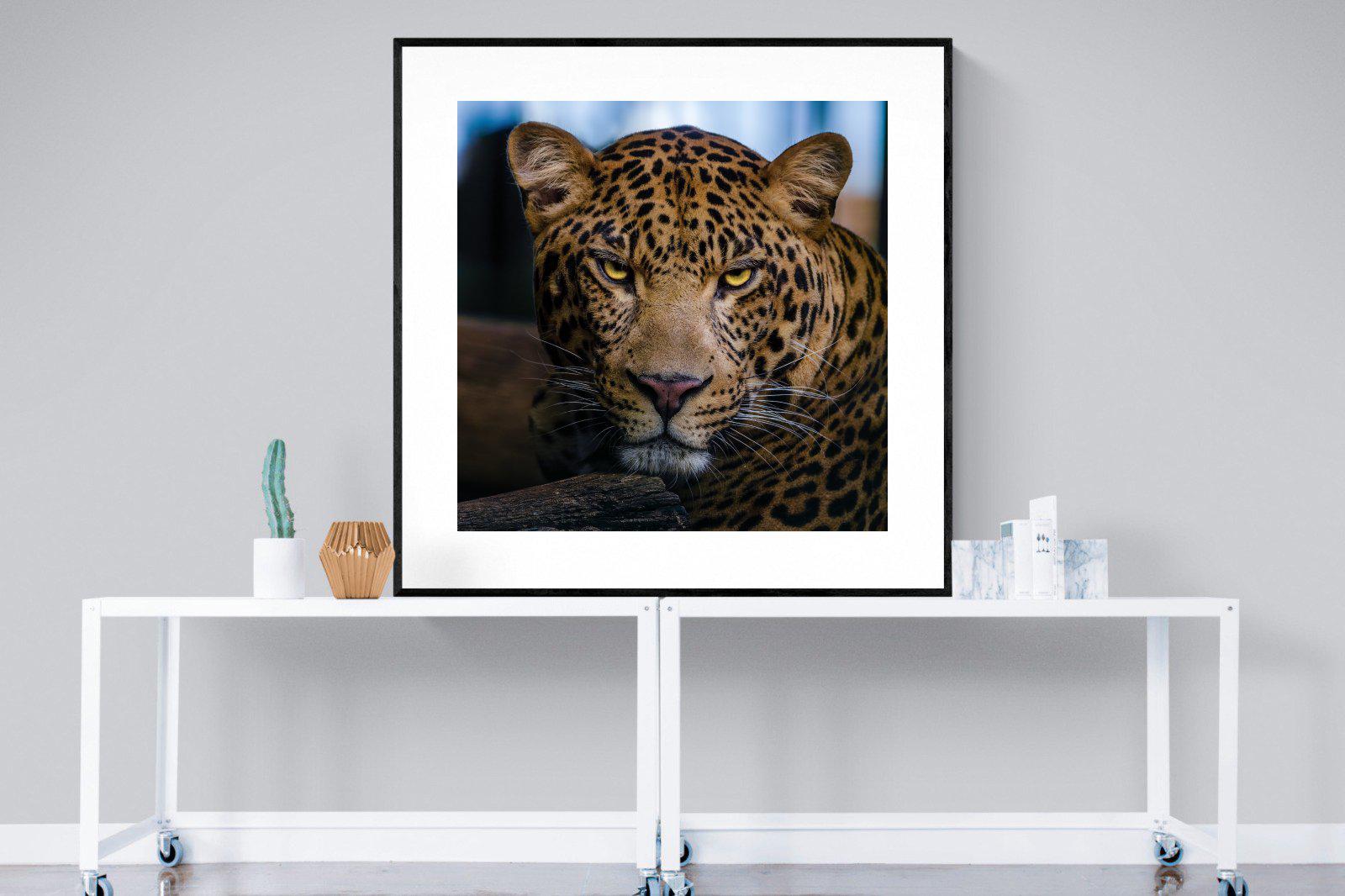 Contempt-Wall_Art-120 x 120cm-Framed Print-Black-Pixalot