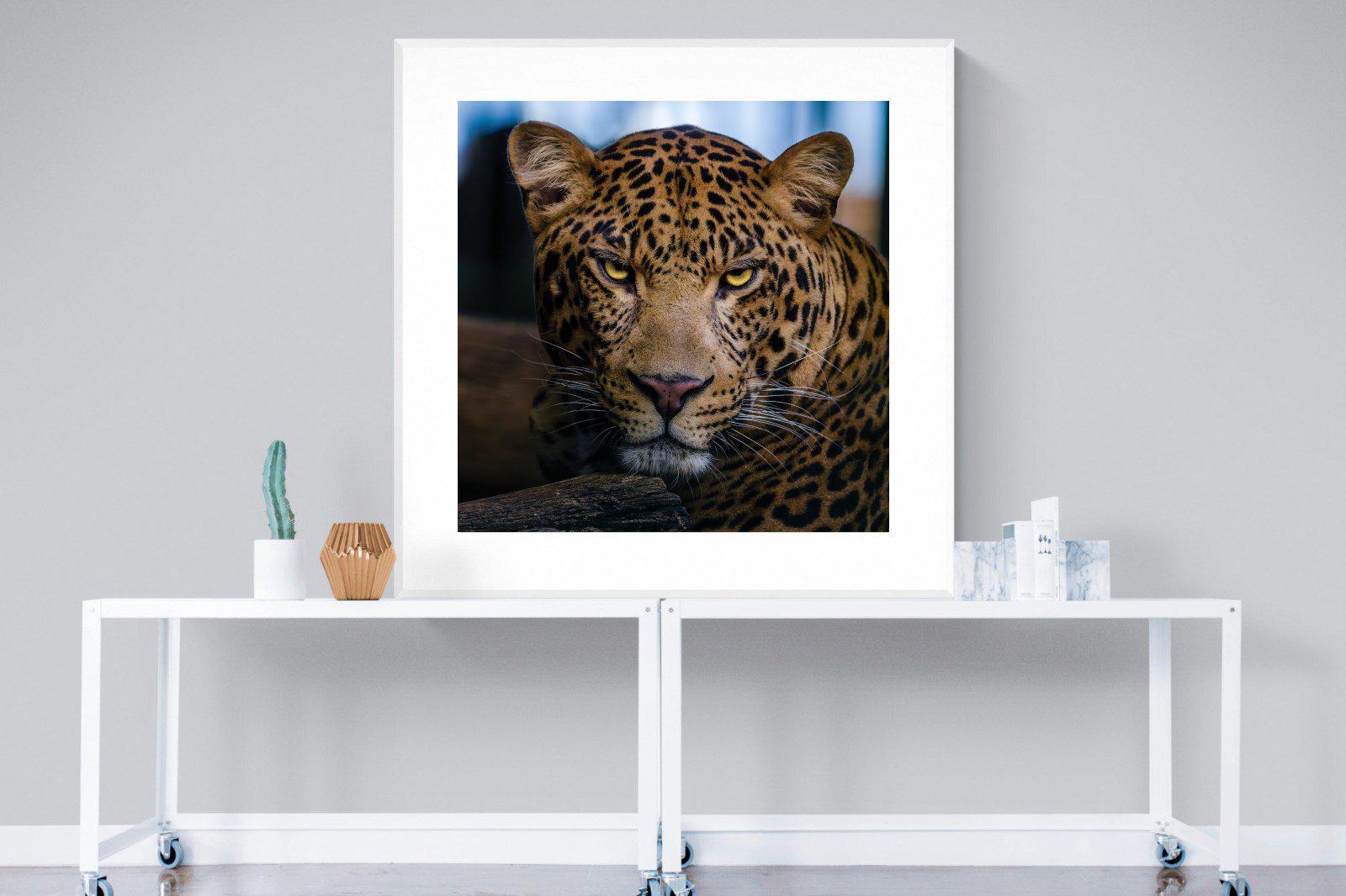 Contempt-Wall_Art-120 x 120cm-Framed Print-White-Pixalot