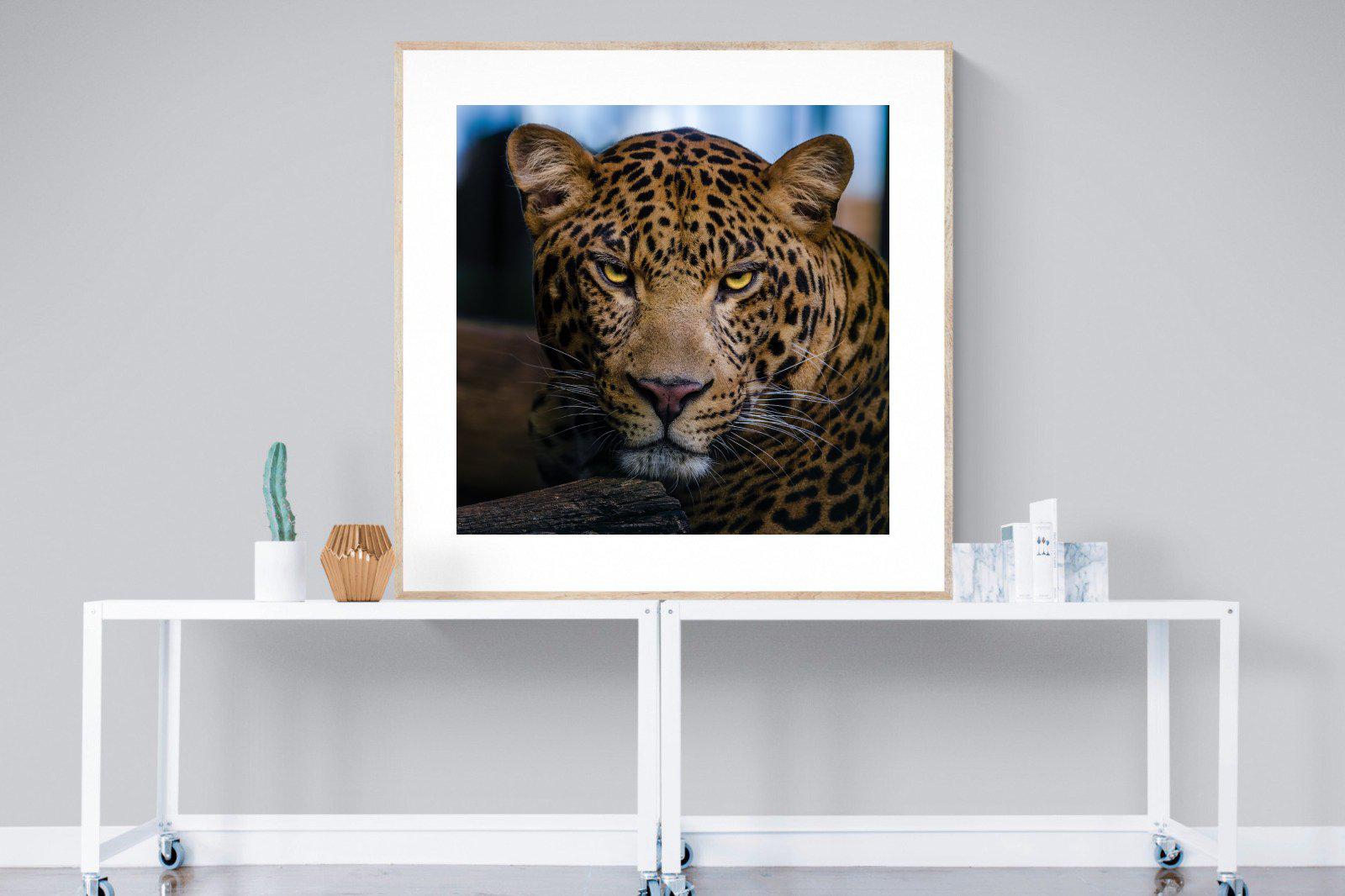 Contempt-Wall_Art-120 x 120cm-Framed Print-Wood-Pixalot